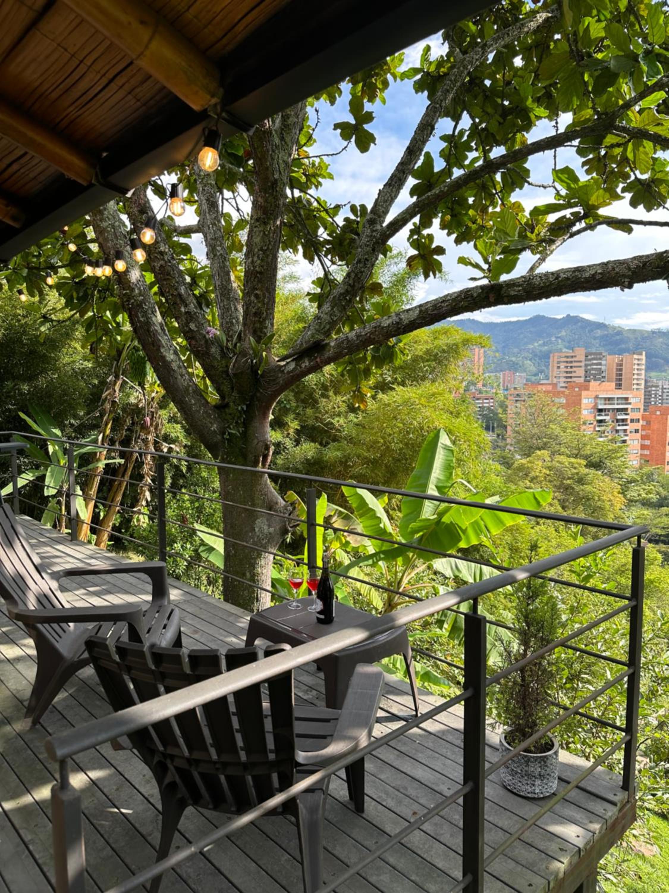 Loft bambu