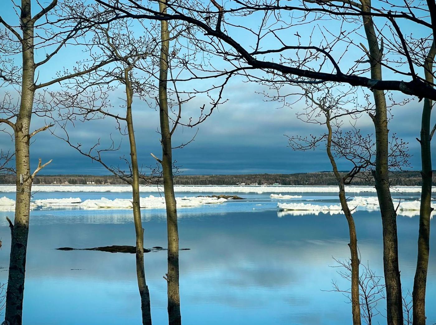 Cozy Campbellton Retreat with 2 Bedrooms & Sauna