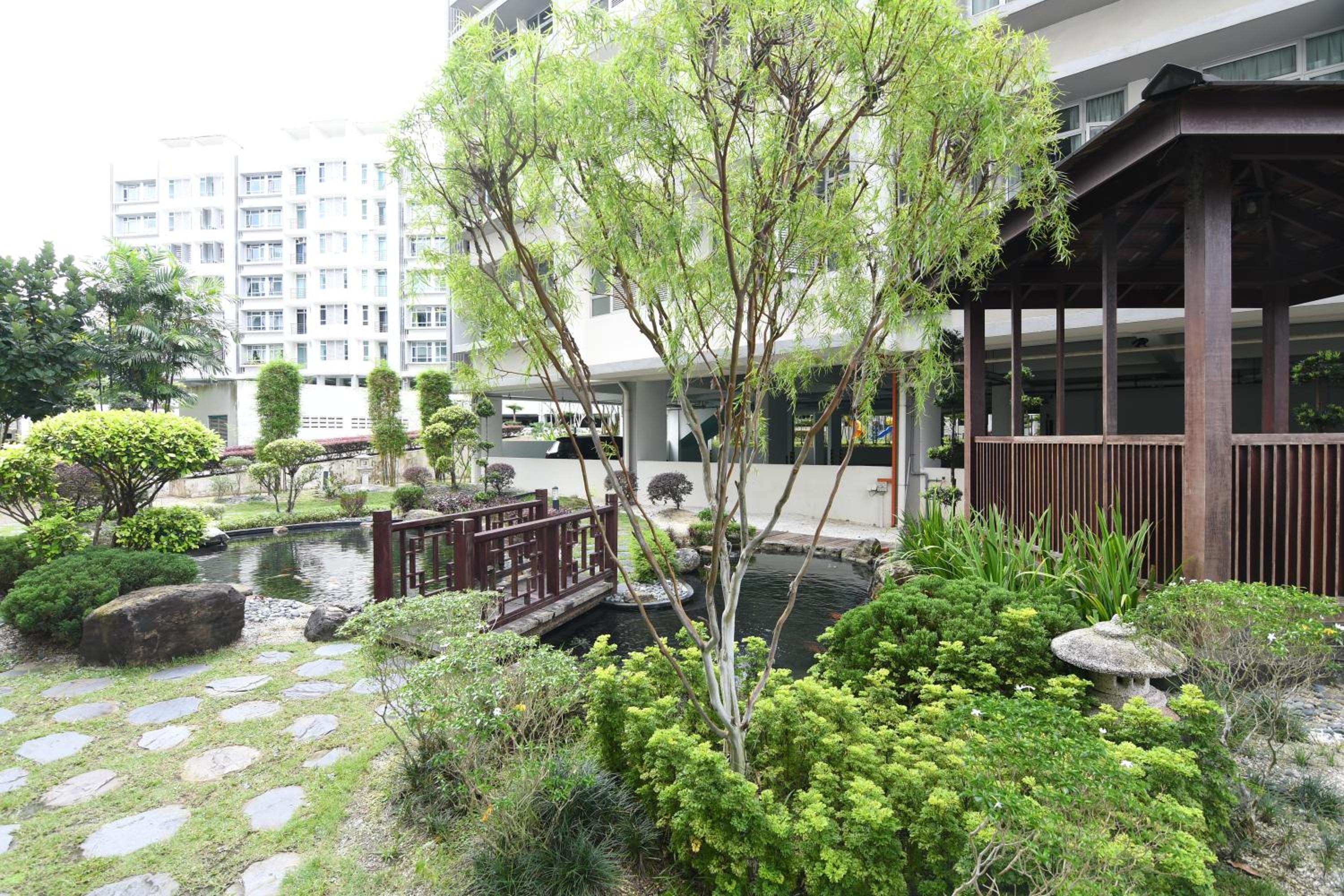 Mount Austin Midori Green 8 Pax Free Wi-Fi 500Mbps Netflix