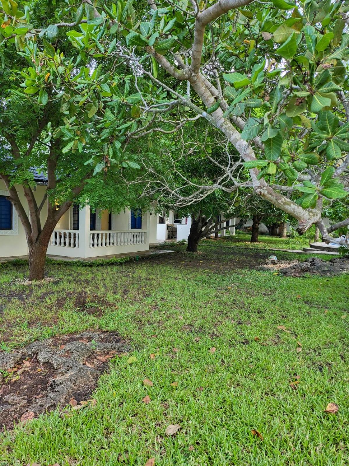 LeoMar 2 Diani Beach Ferienhaus mit grossen tropischen Garten und Pool