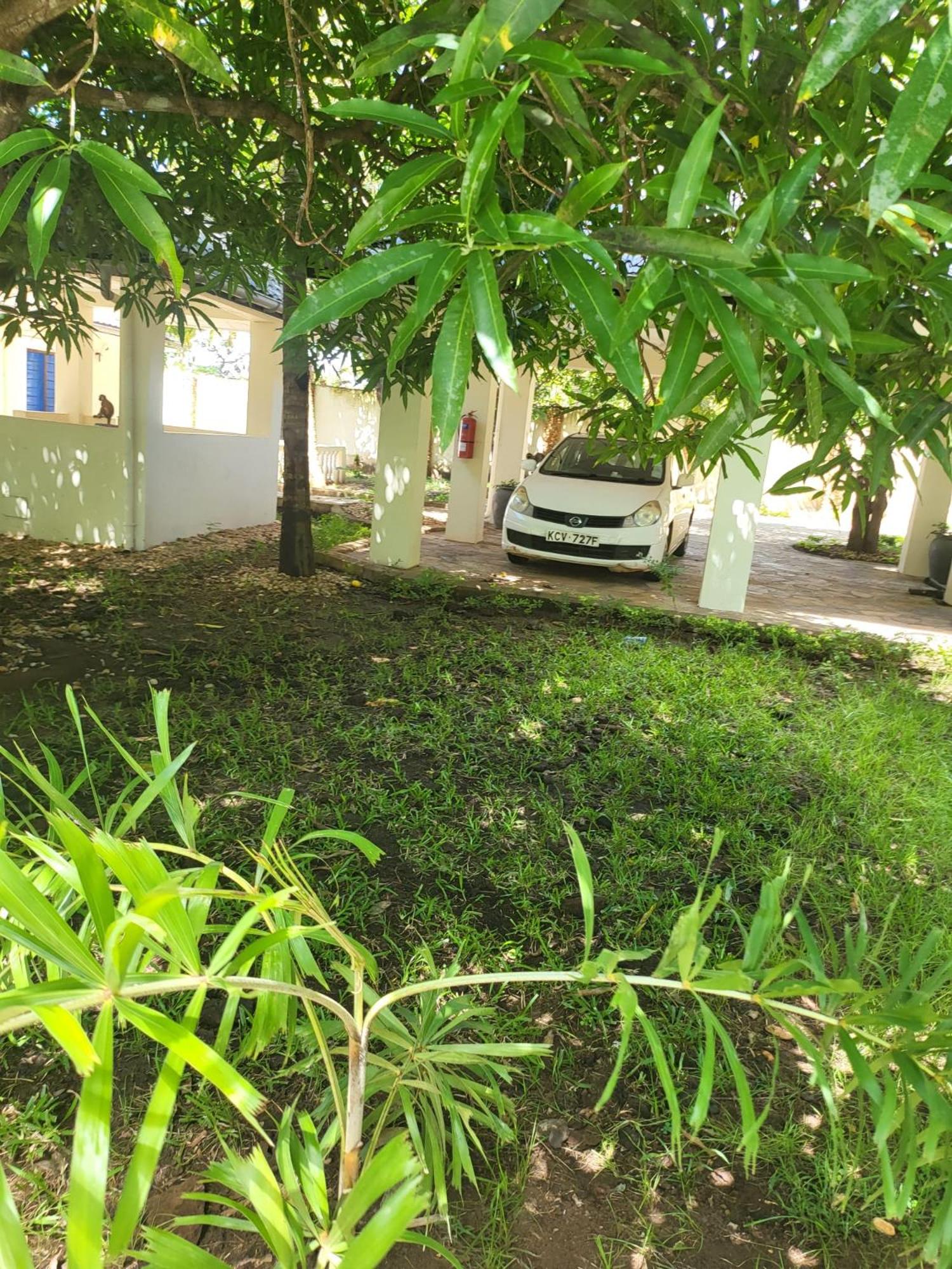 LeoMar 2 Diani Beach Ferienhaus mit grossen tropischen Garten und Pool