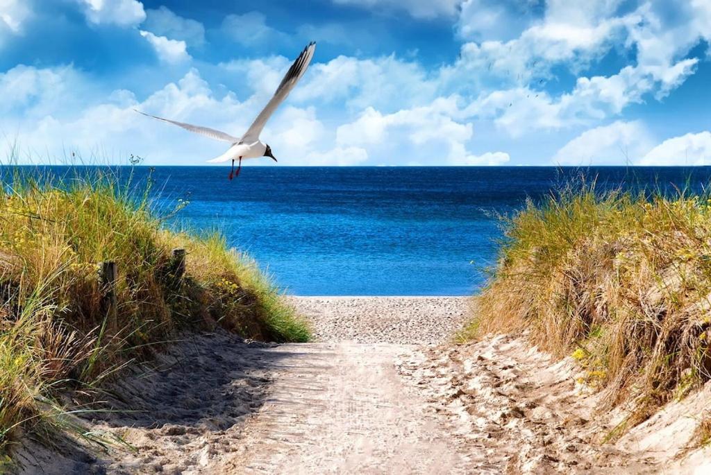 Schöne Ferienwohnung in Seebad Bansin 200m vom Strand (Heringsdorf, Kaiserbäder, Usedom)