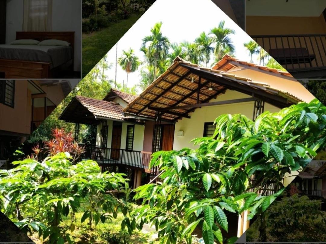 Family villa .hut view 3