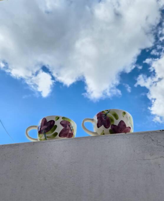 Apartamento Celeste El Carmen