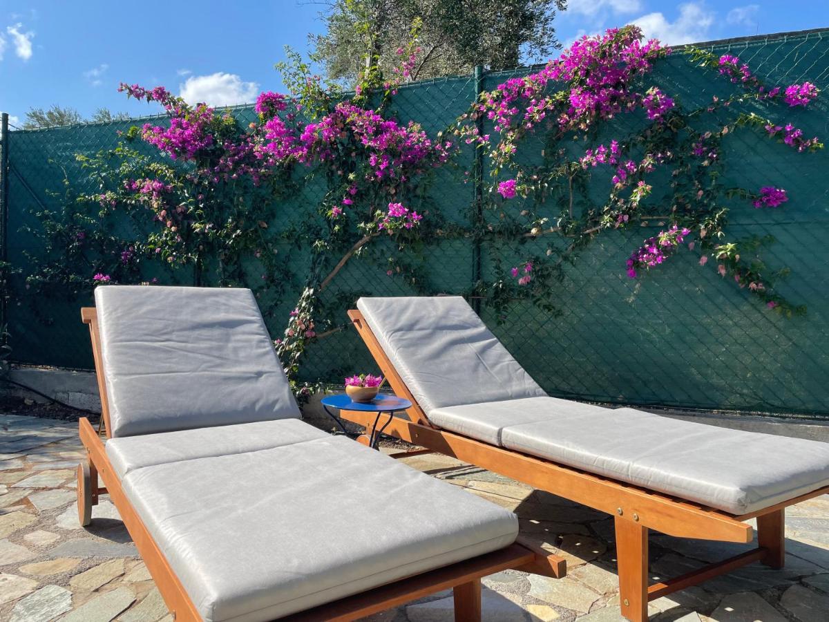 Pera Casa view 5