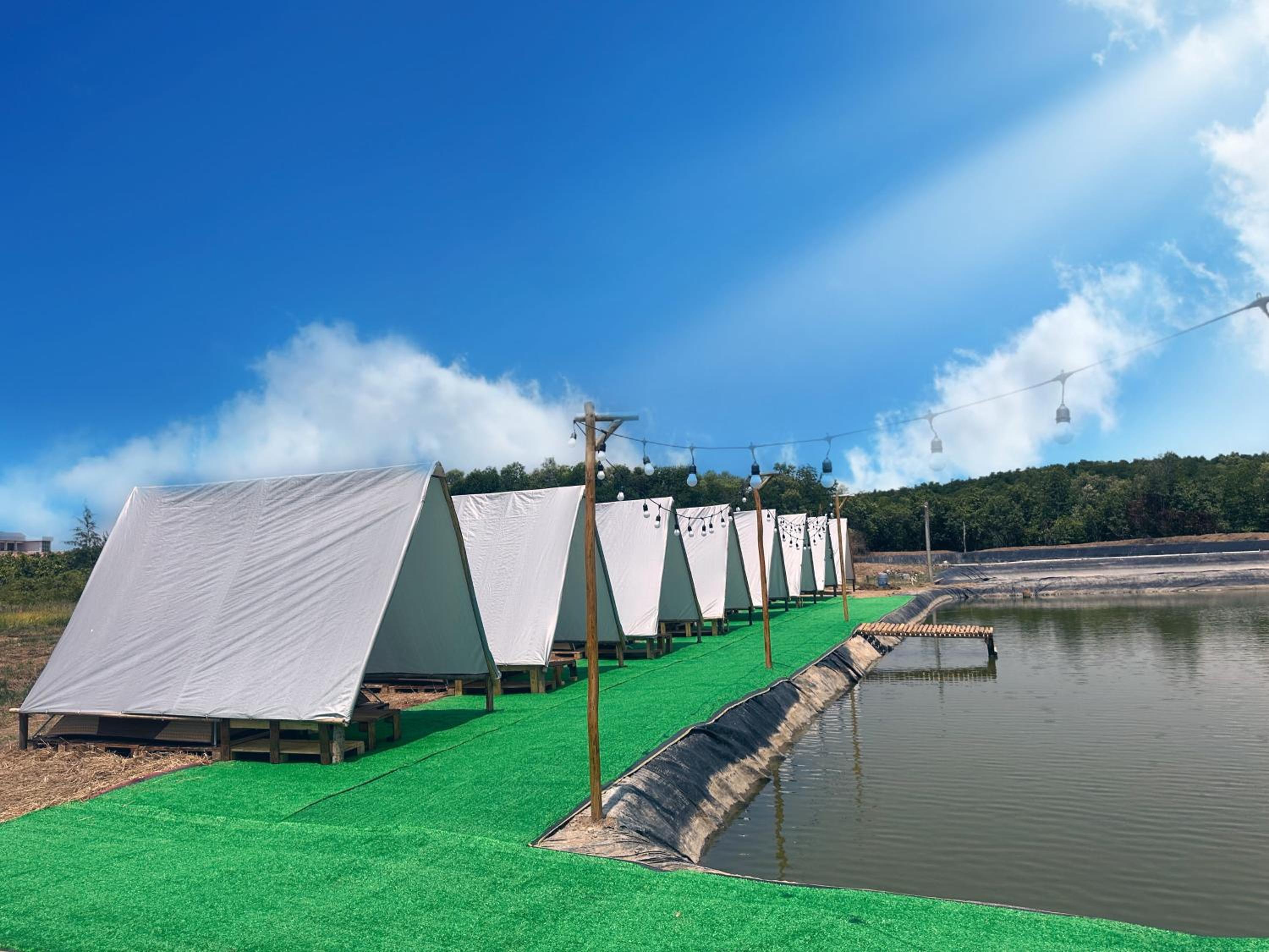 SAY Camp Forest view 4