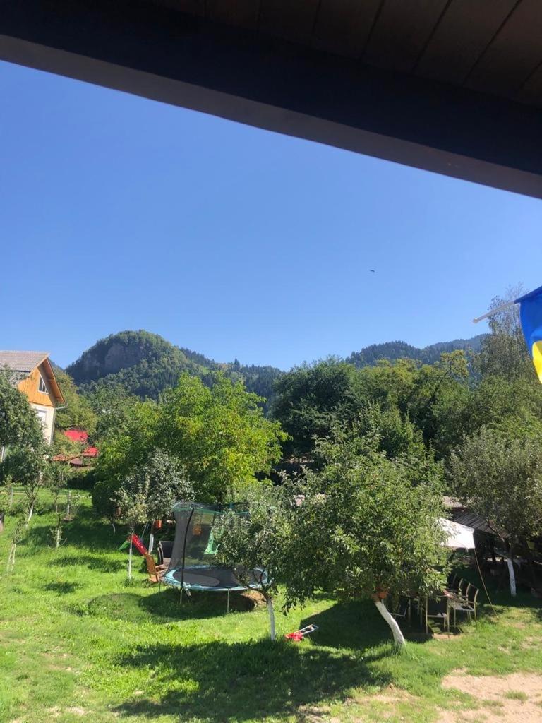 Casa Firuta Borsa view 3