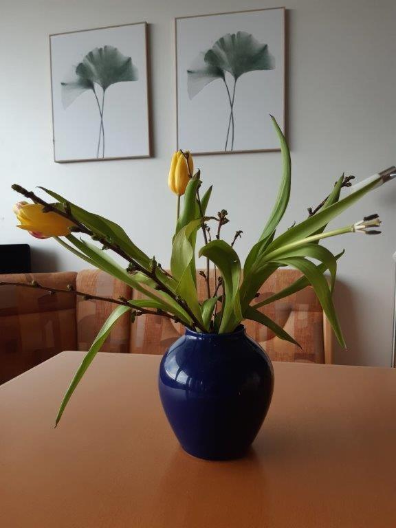 Ferienzentrum Bodensee view 5