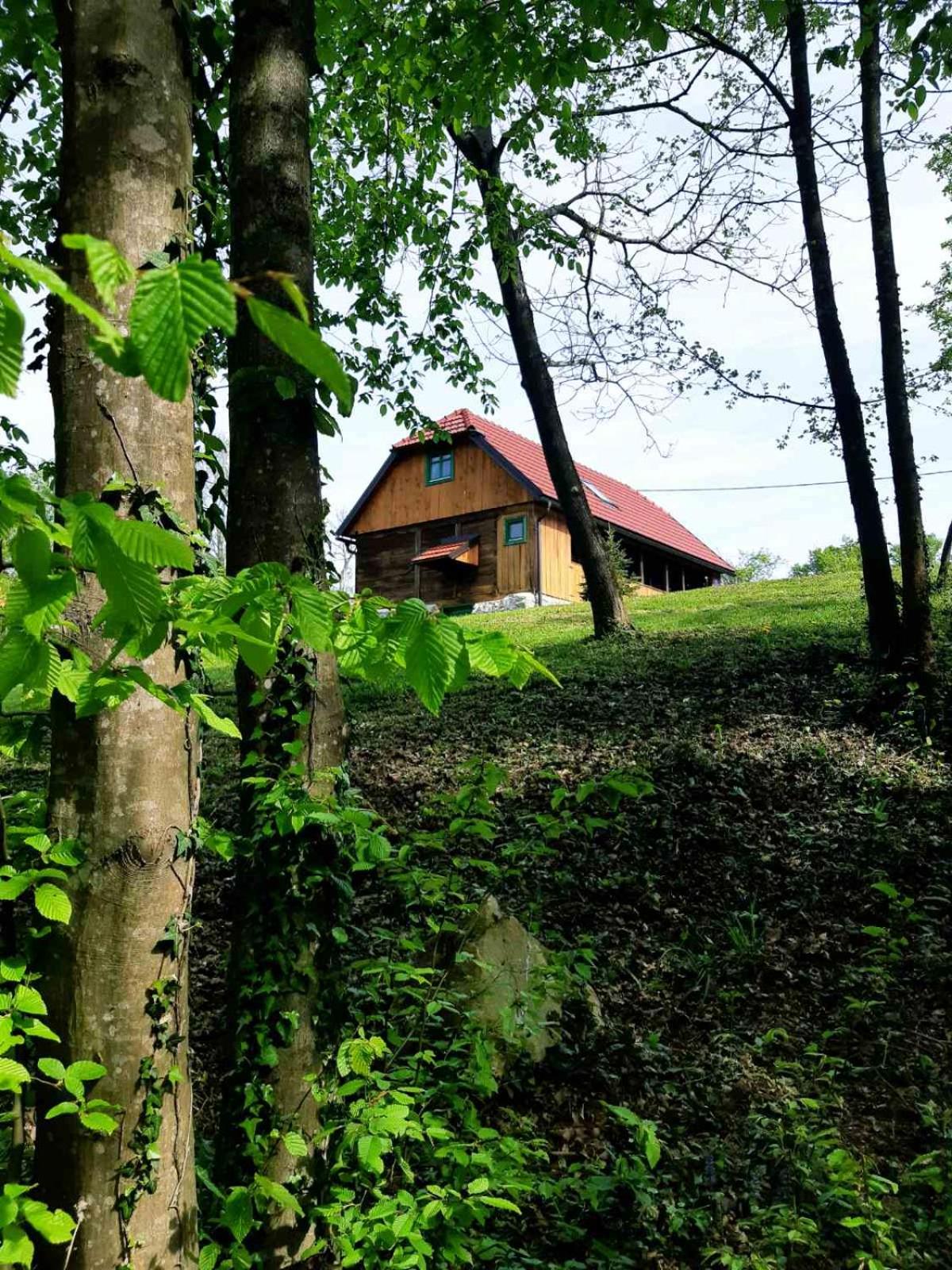 Bakina iža view 5