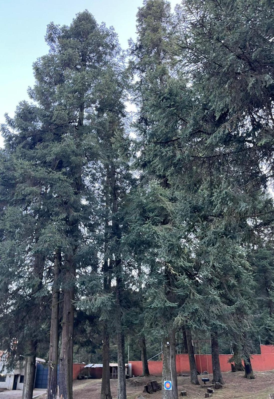 Rancho Emisajumi El Ajusco view 4