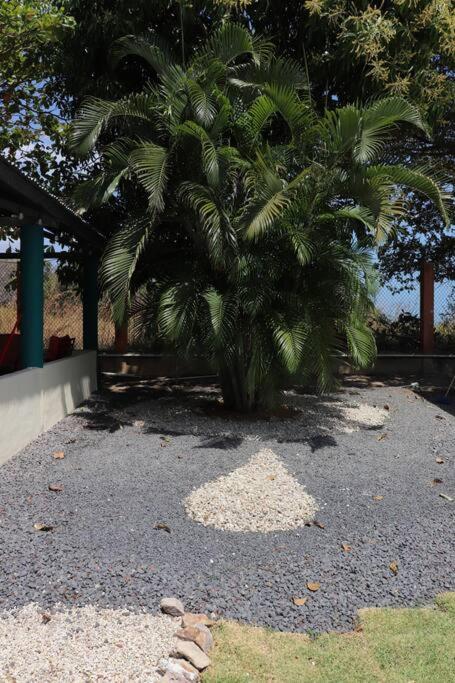Secluded Ocean Front Overlooking the Marina view 4