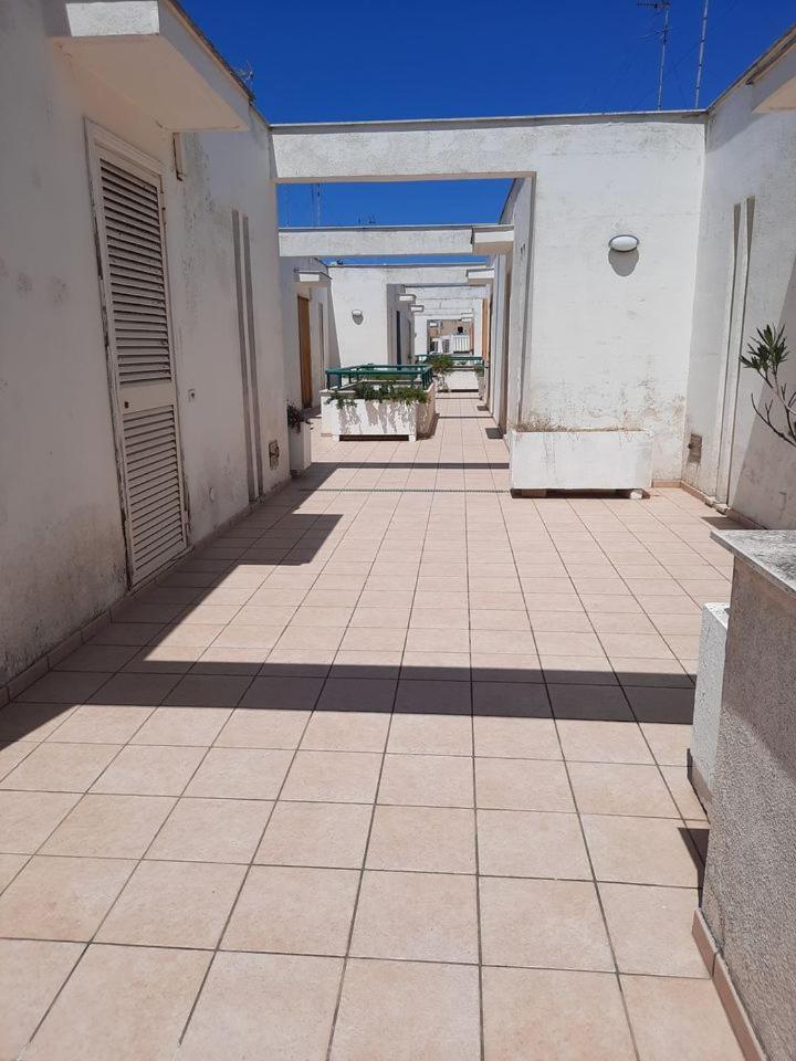 casa sonia