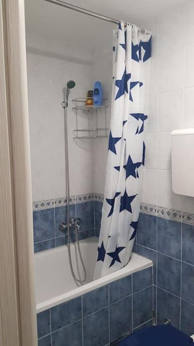 Apartman N