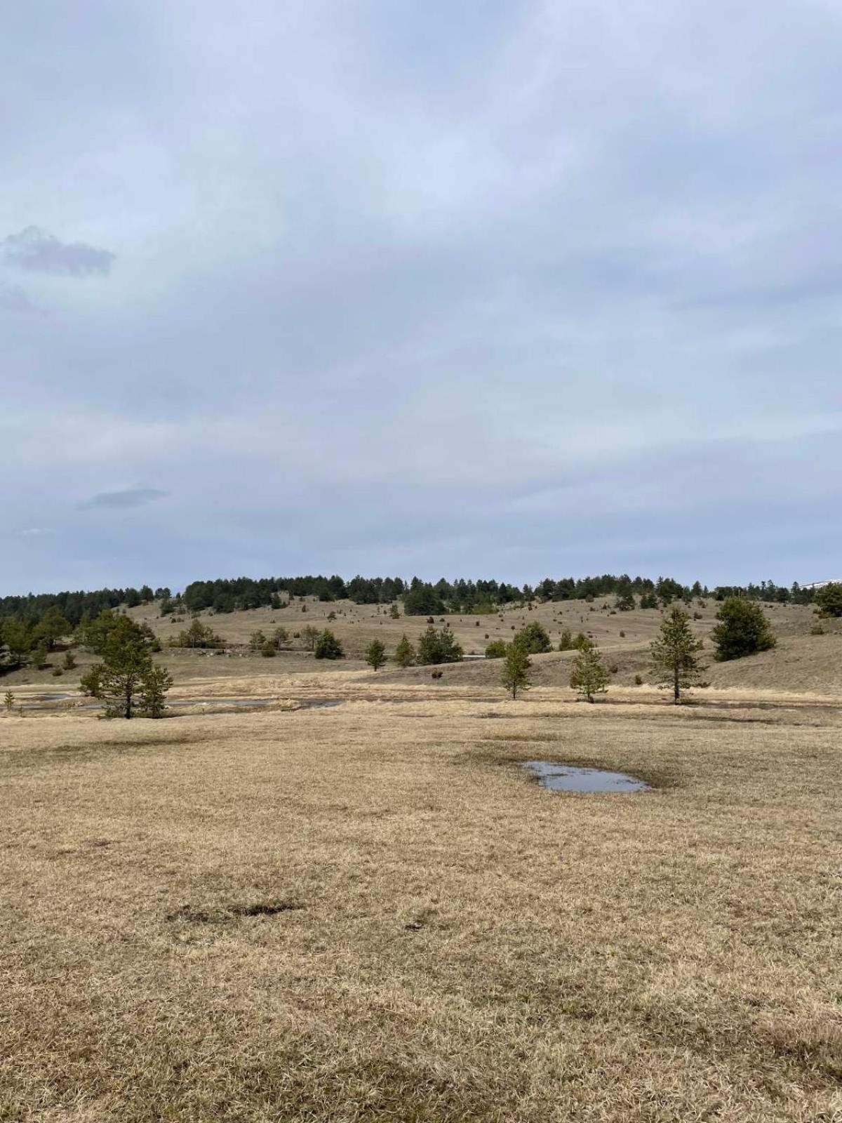 Vila Vodice Zlatibor