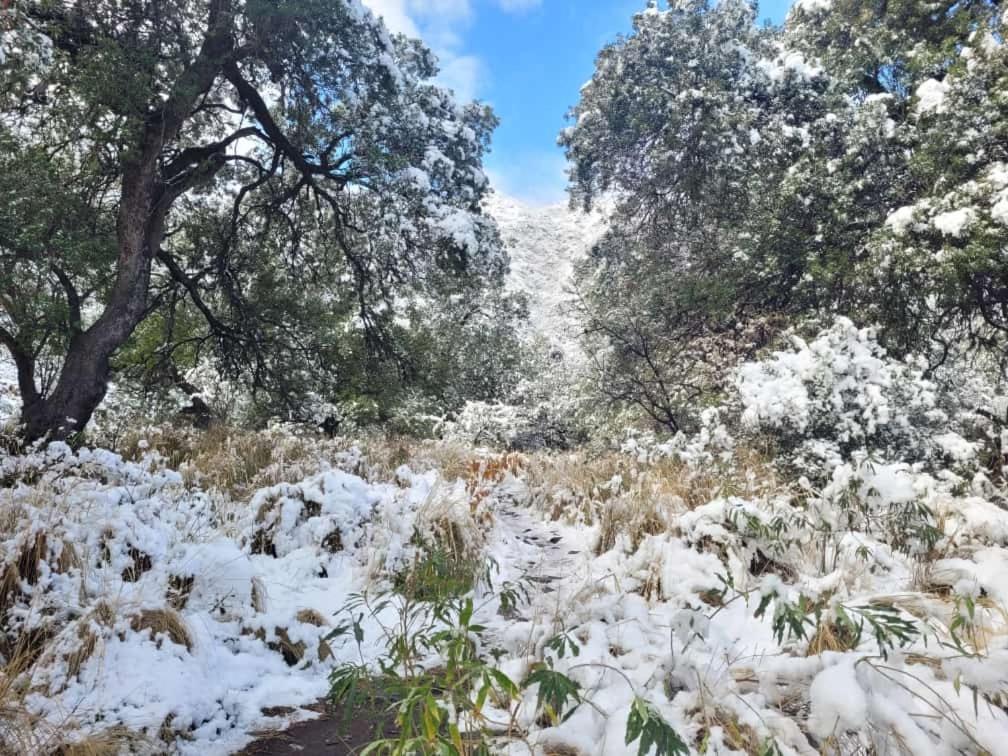 other
