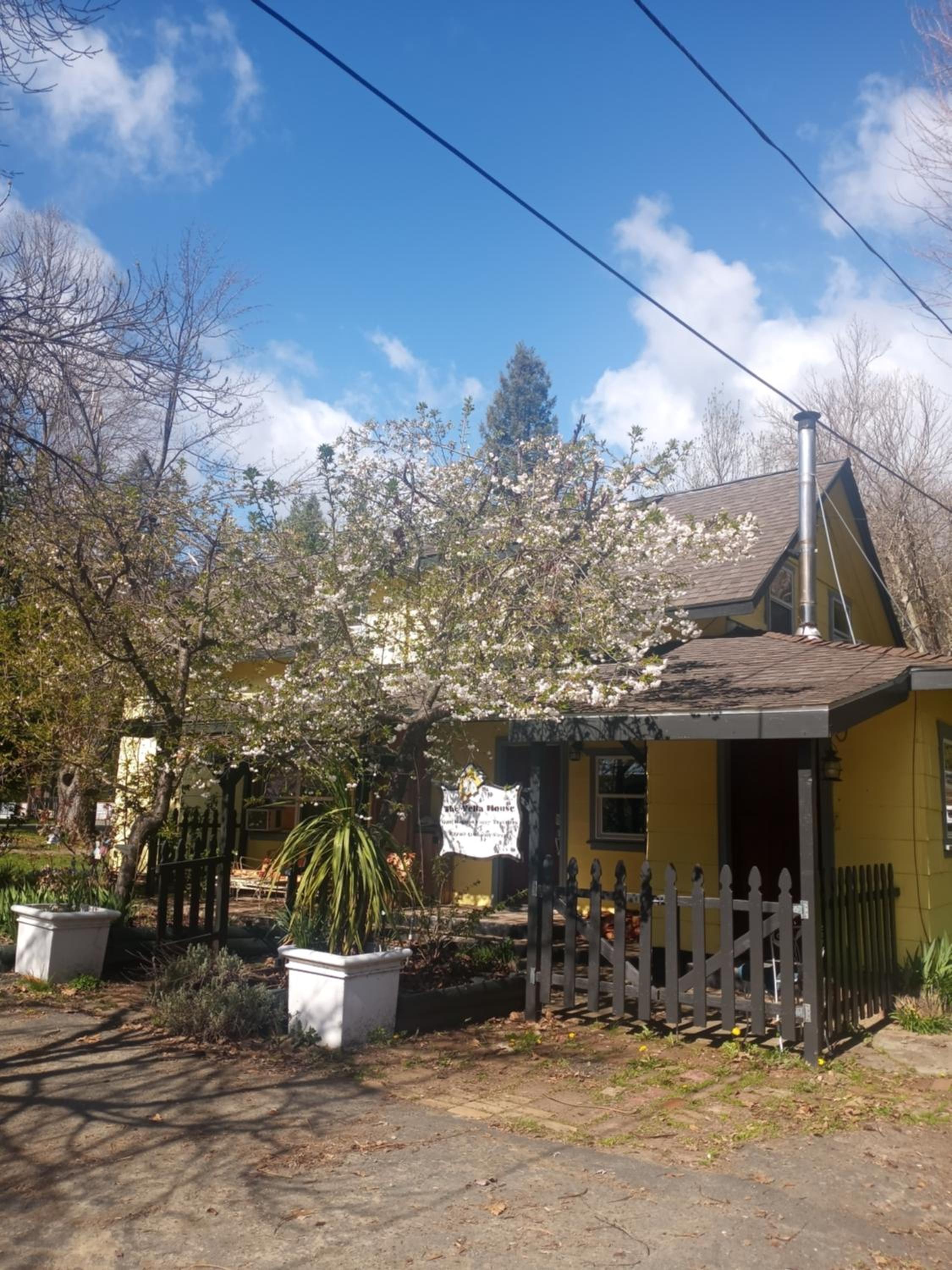 Photo 41