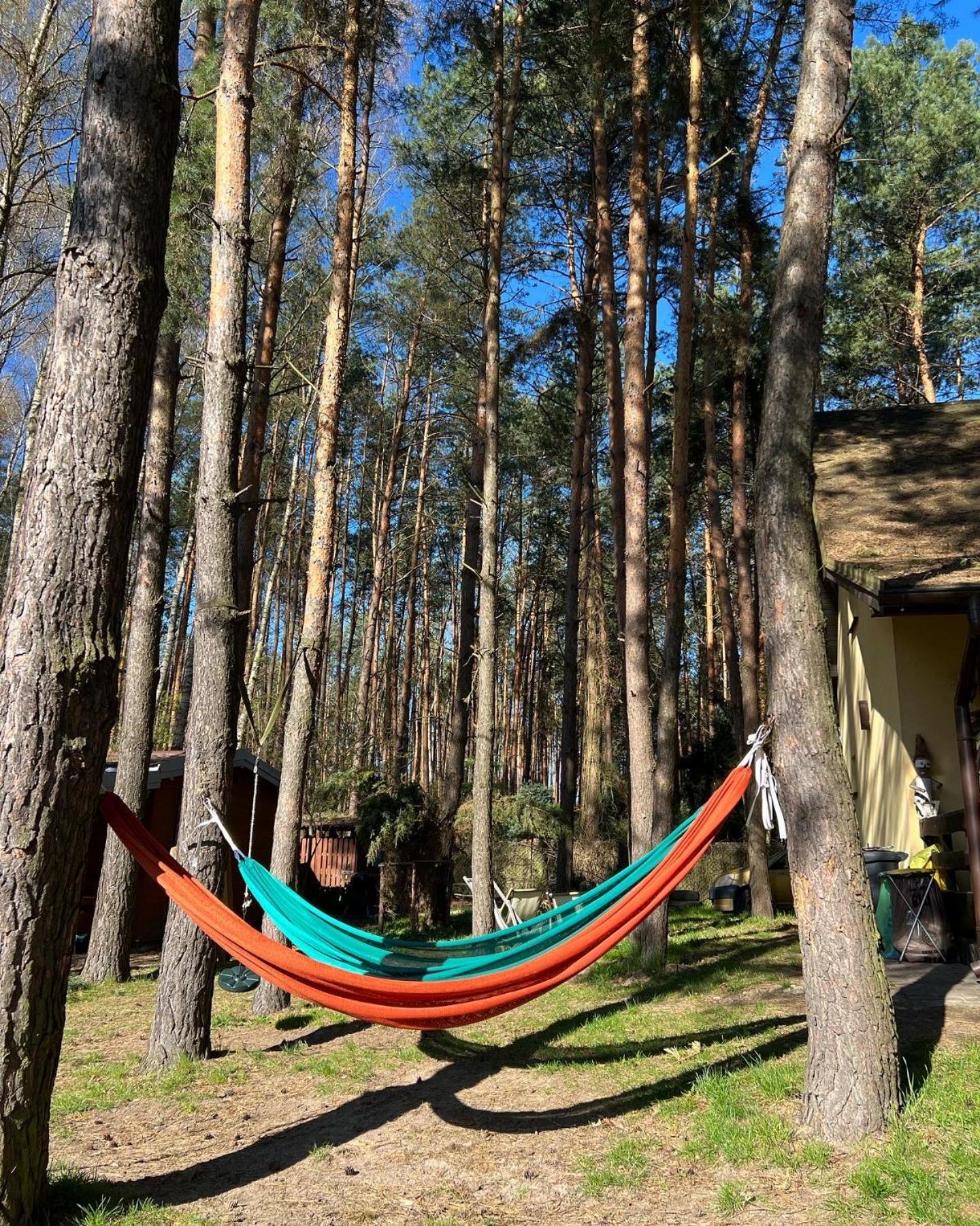 Kurort Mirowice-domek w lesie, z balią z jacuzzi i hydromasażem view 5