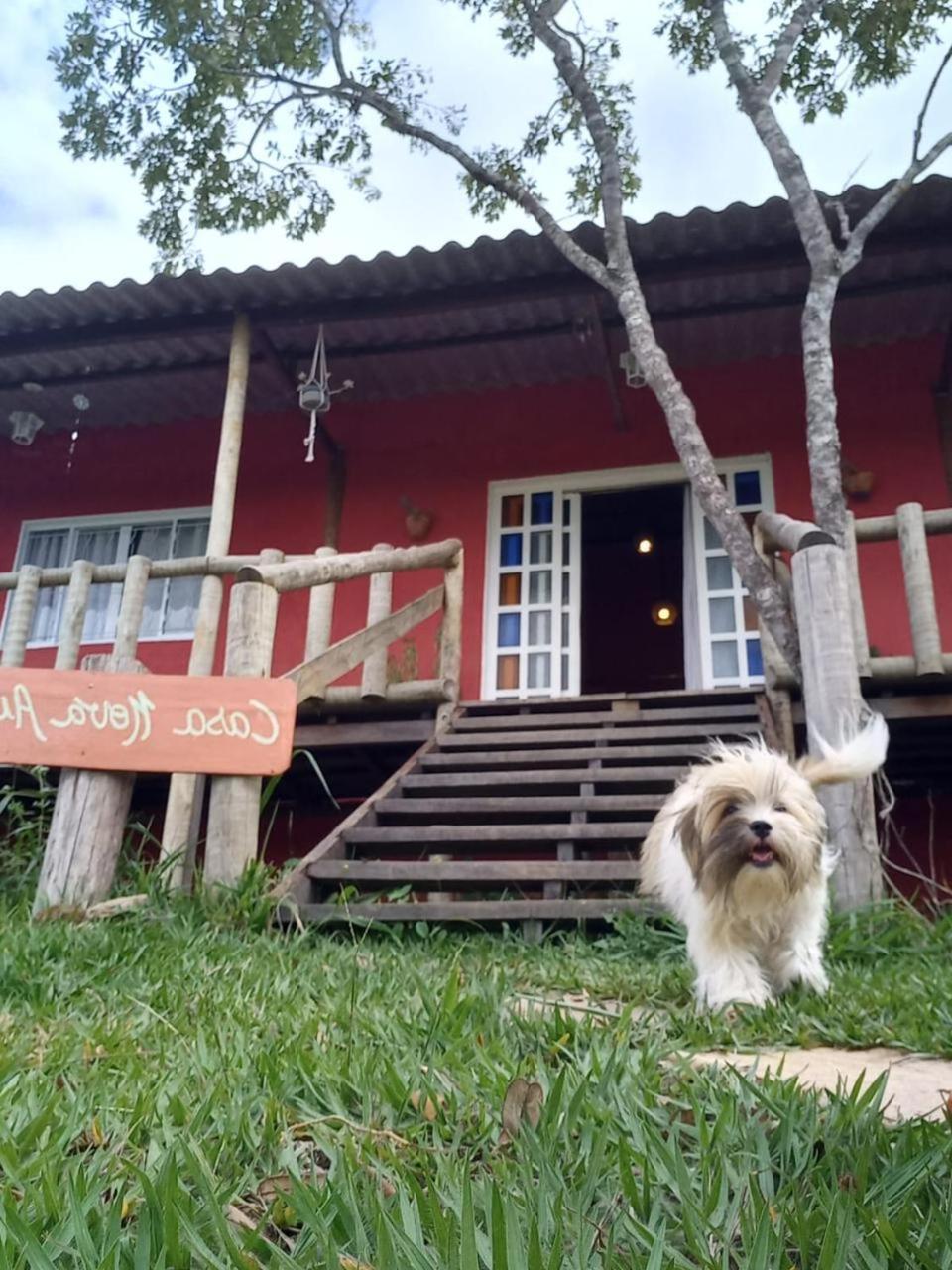 Casa confortável, pertinho da cidade e conectada a natureza