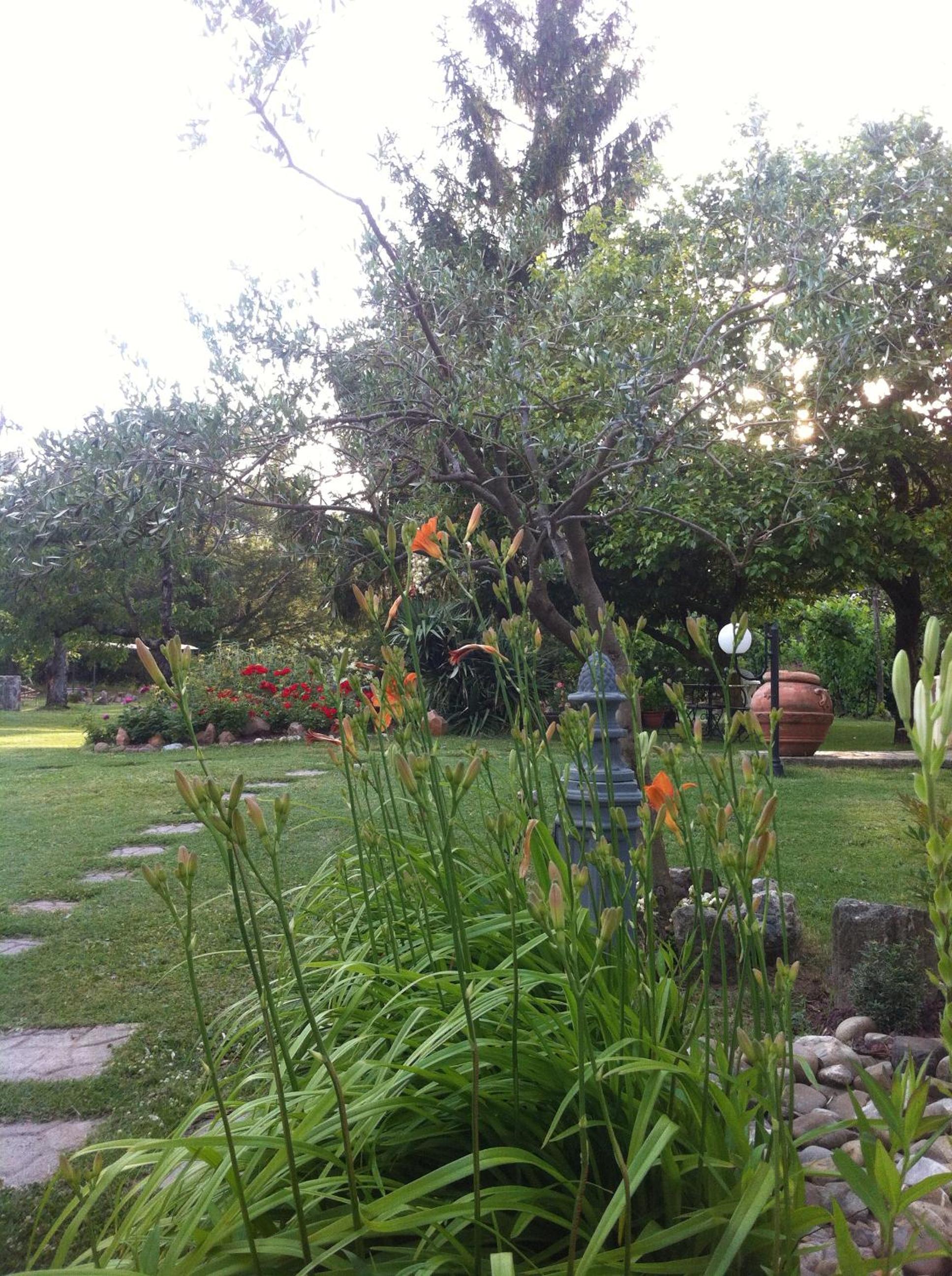 Photo 24