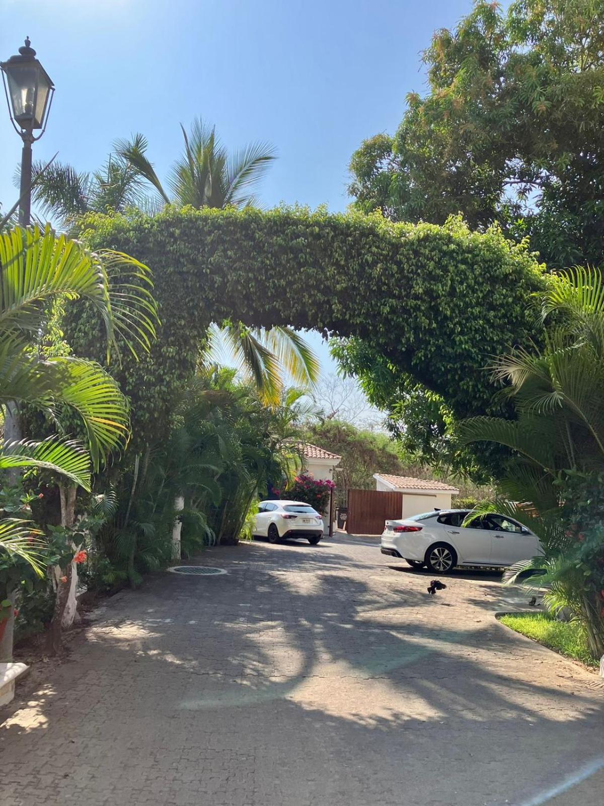 Photo 22