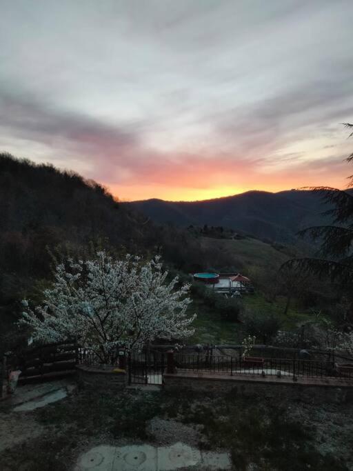 Ca'de Picchio