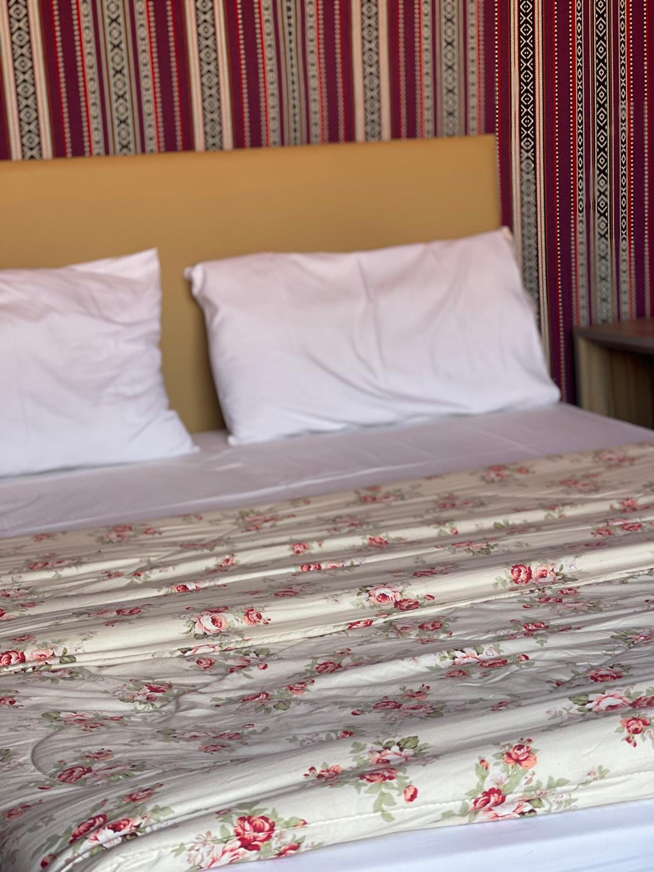 Wadi rum eagle Luxury camp