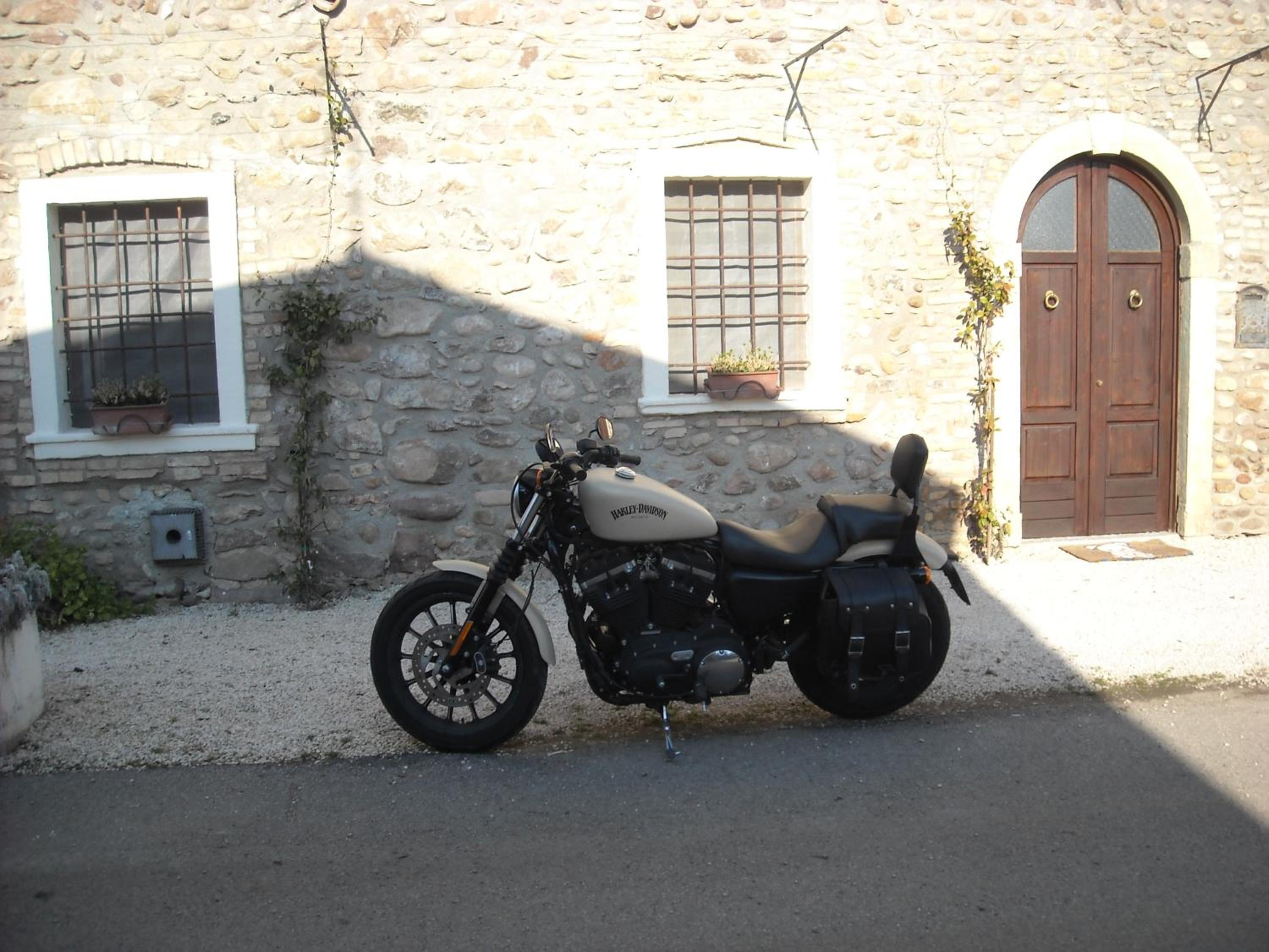 Photo 44