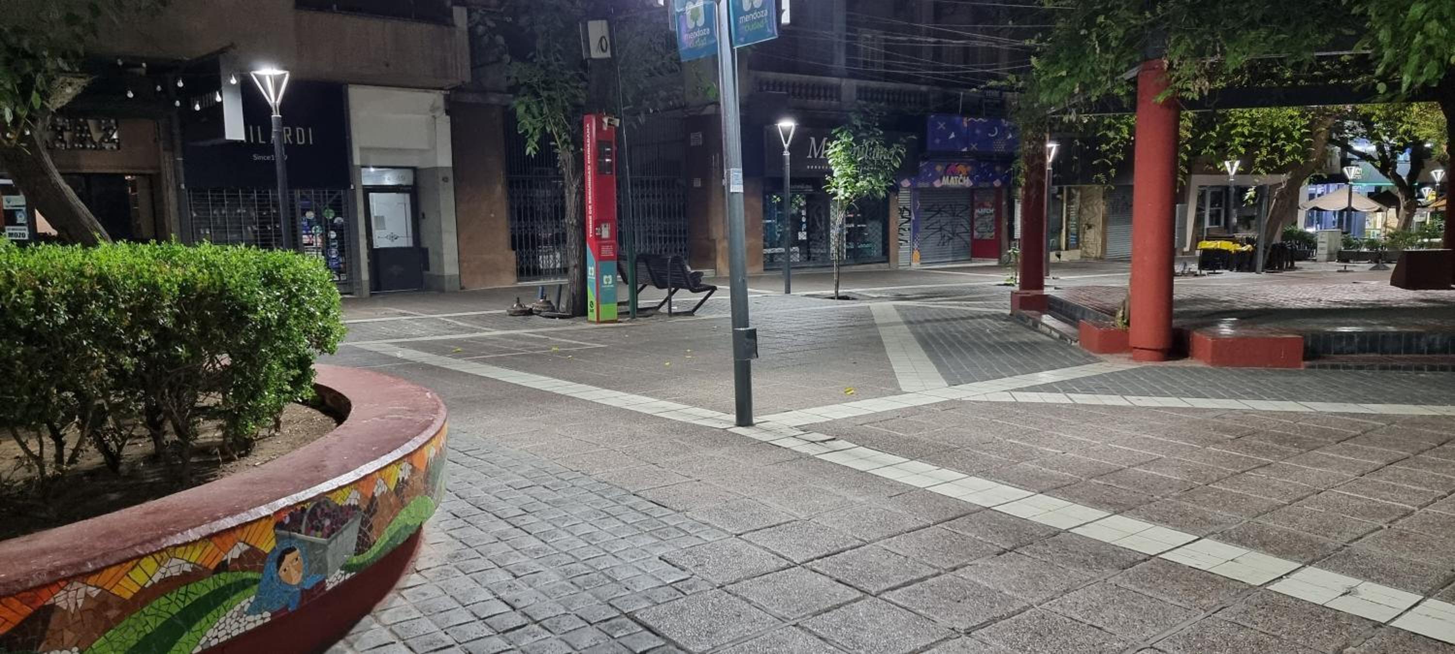Peatonal 6
