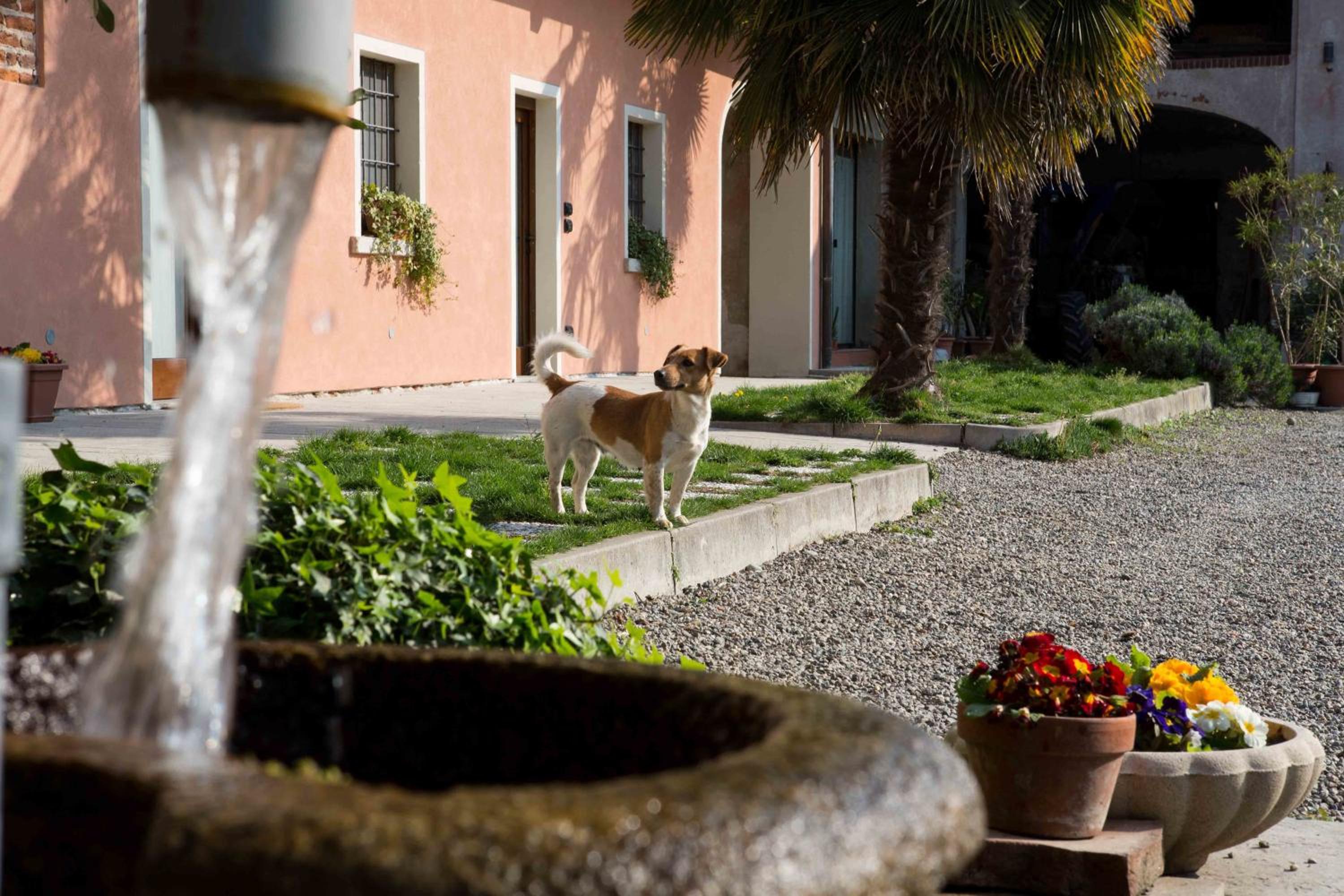Tenuta Valtoppa