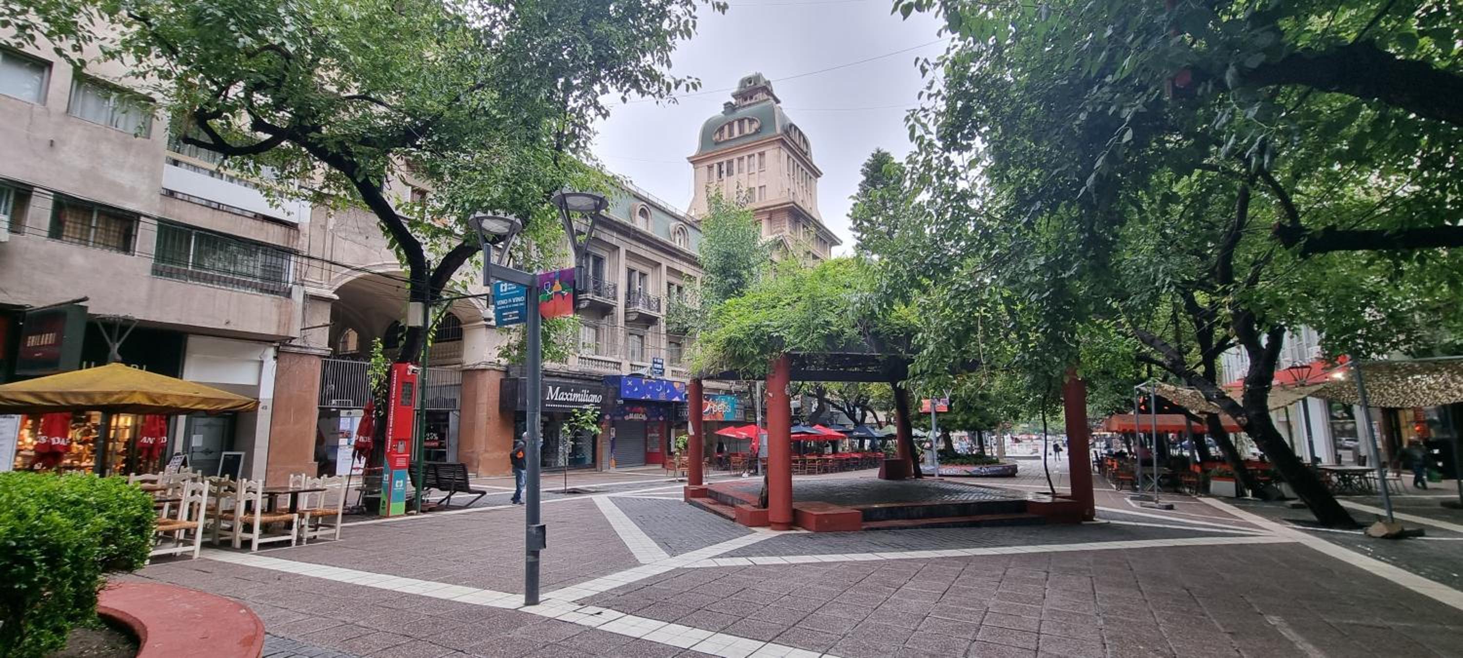 Peatonal 6