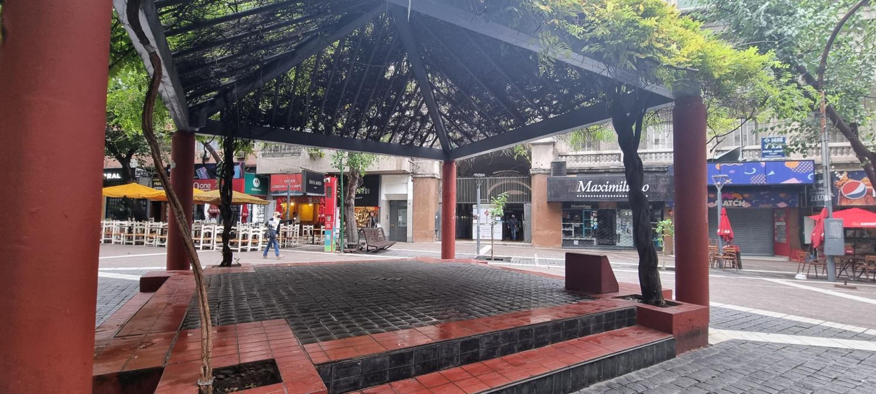 Peatonal 6