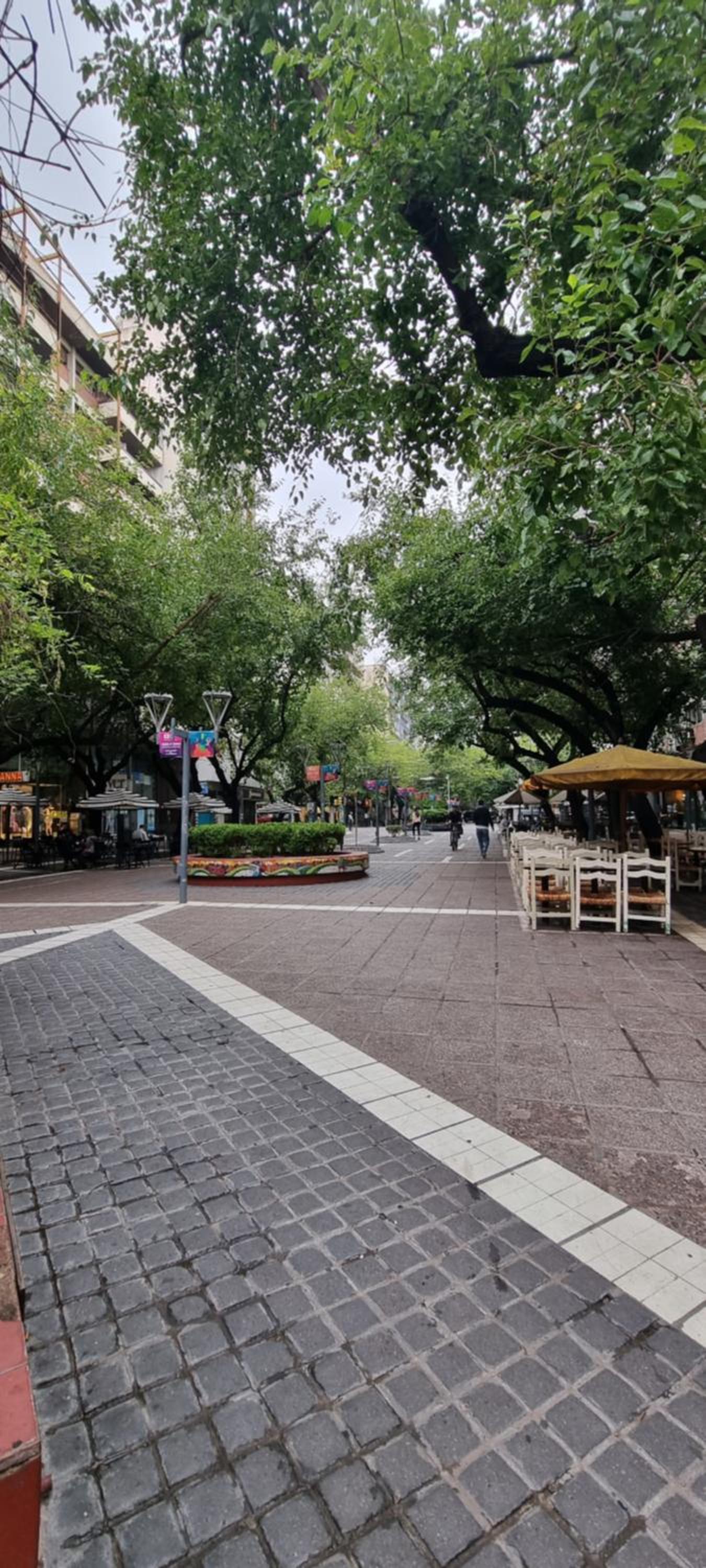 Peatonal 6