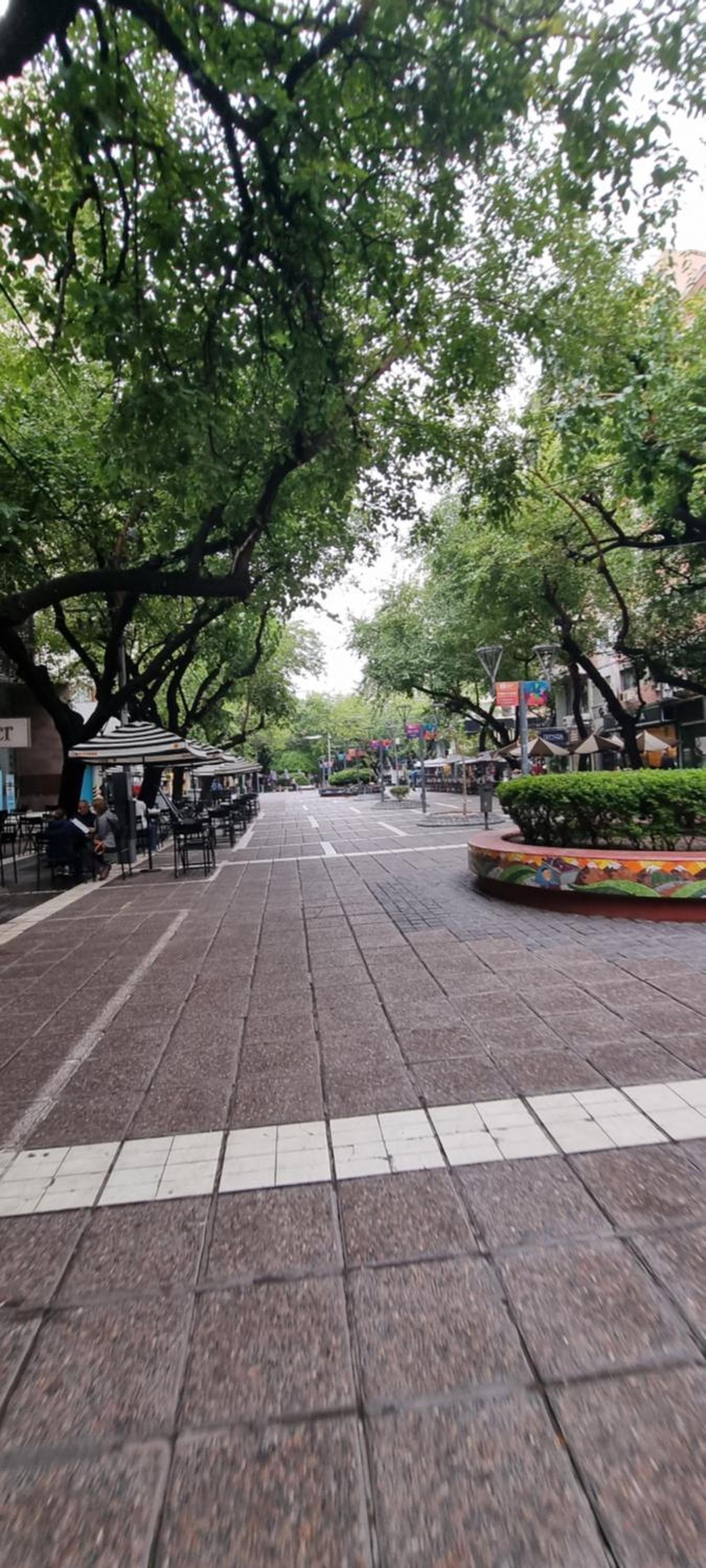 Peatonal 6