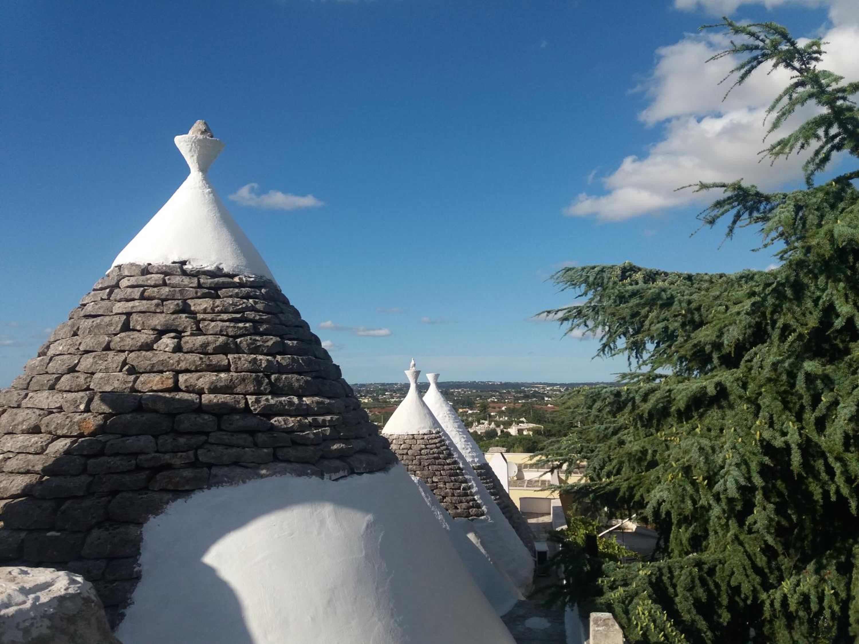 Trulli di Puglia - Casa vacanze in Valle d'Itria view 5