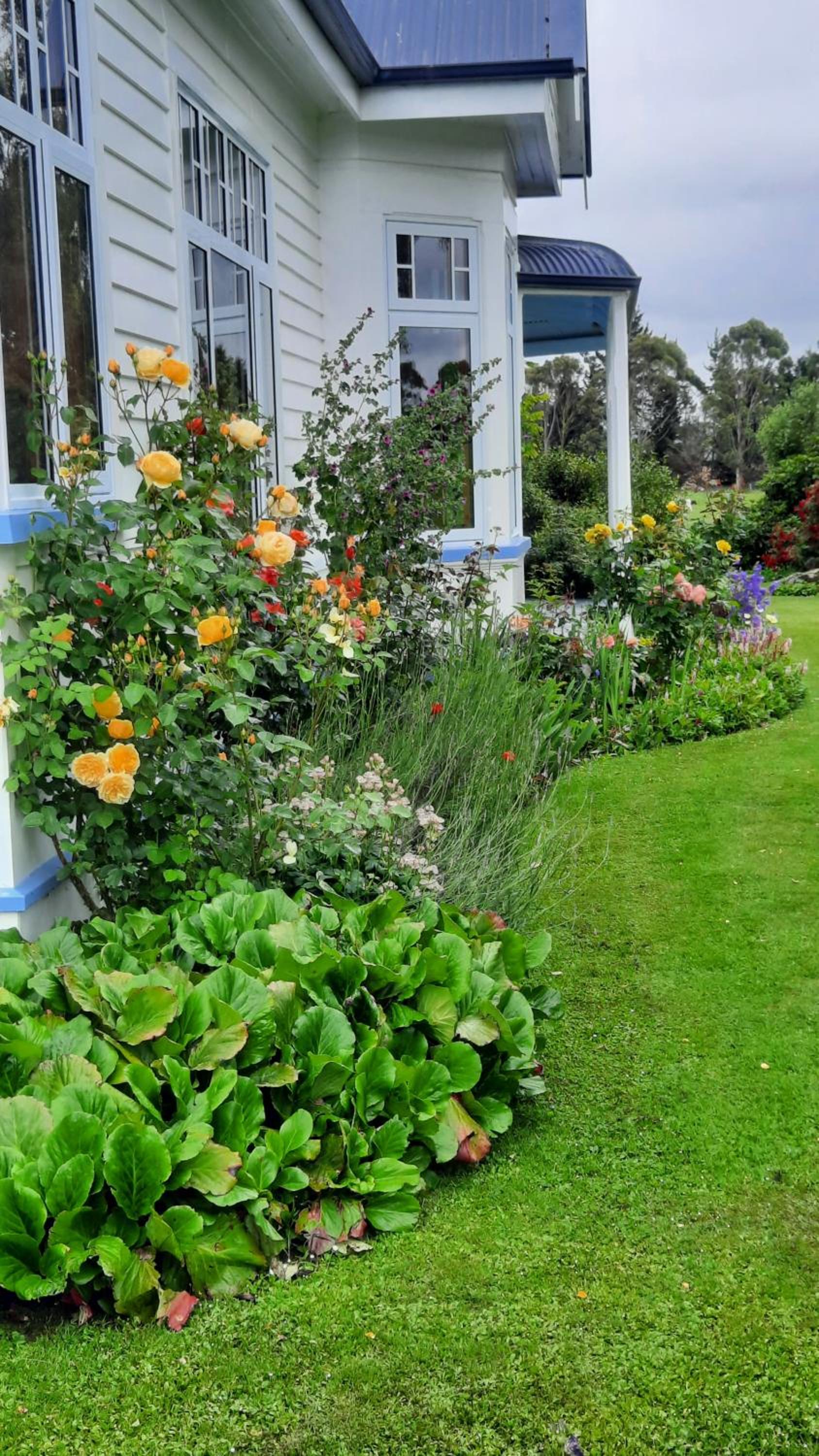 Photo 13