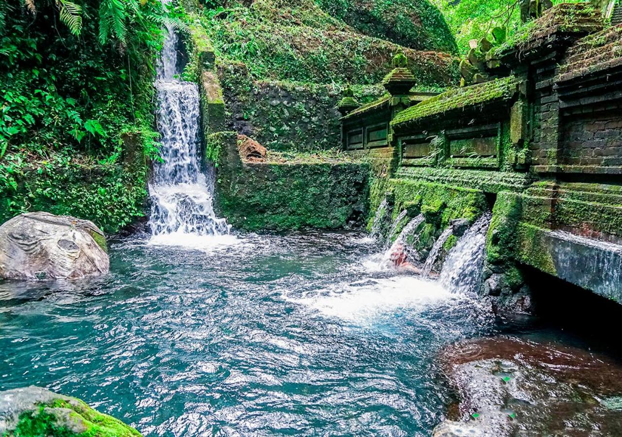 The Mahogany Villa Ubud