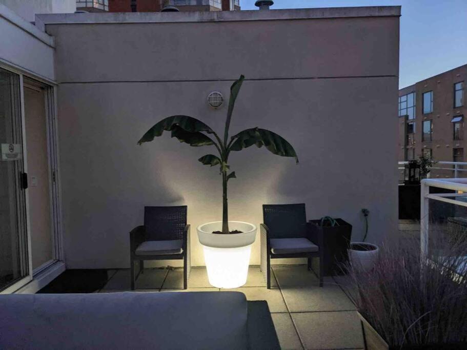 Penthouses of Beach Ave