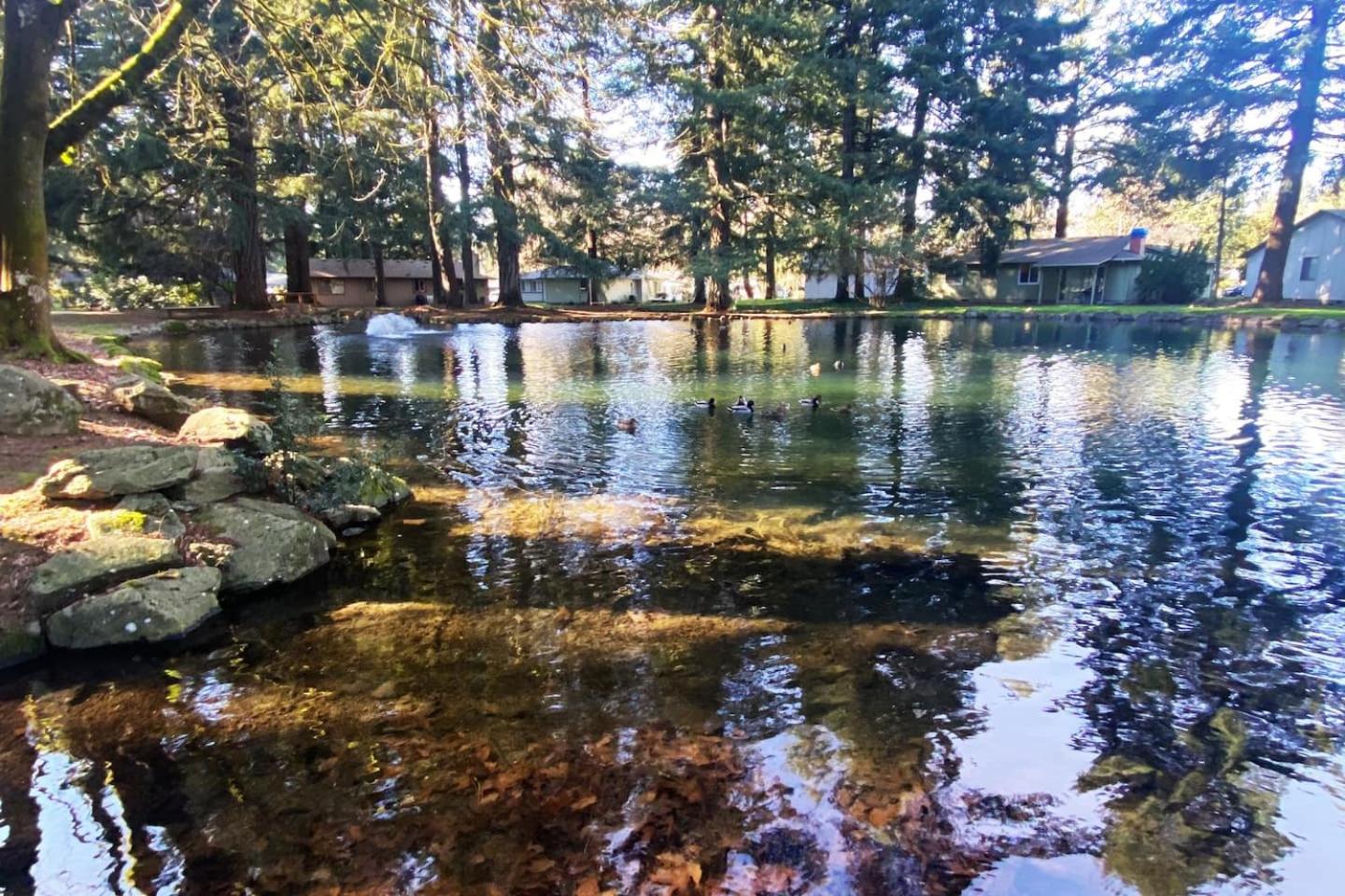 Photo 26
