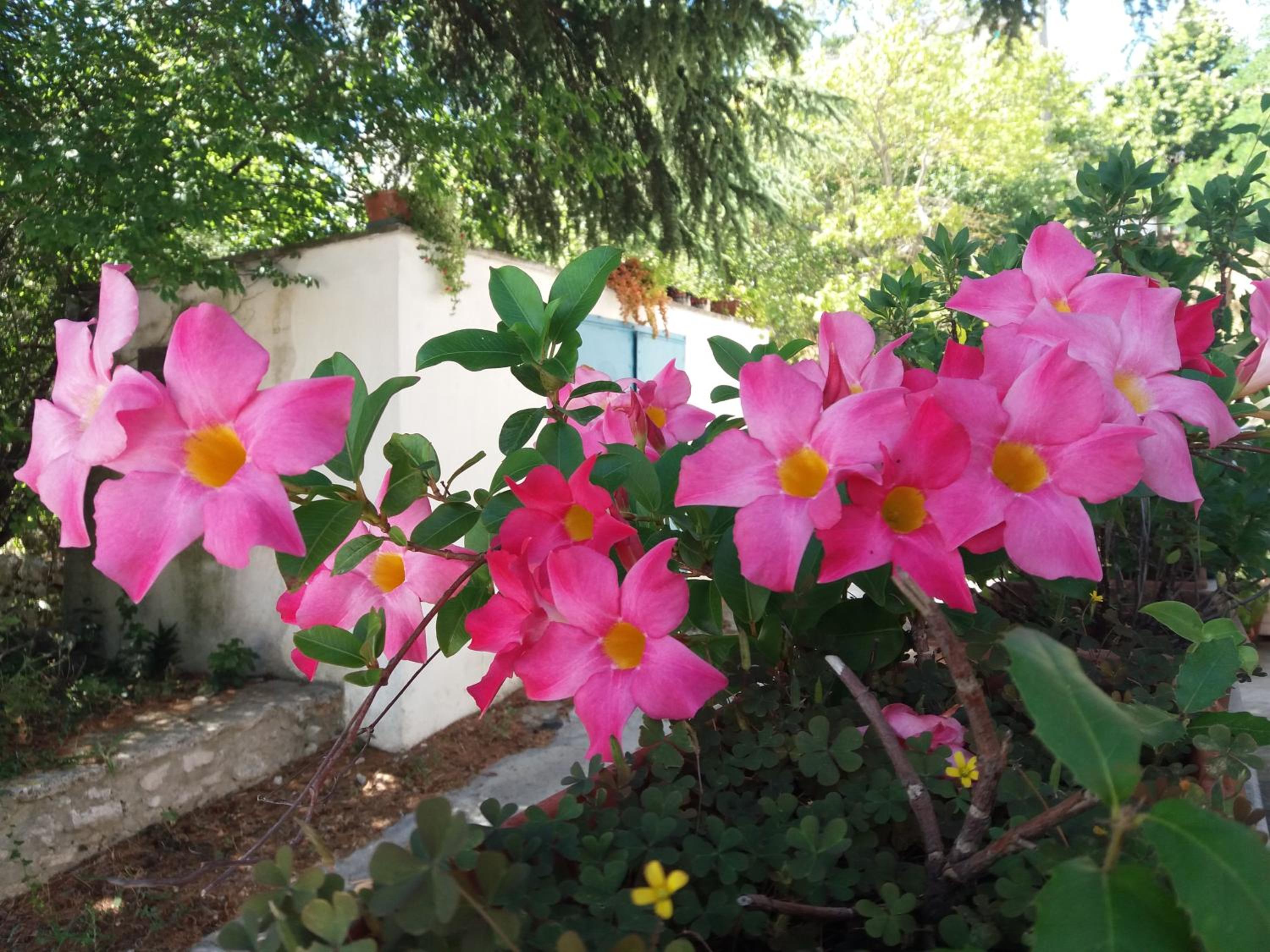 Photo 43