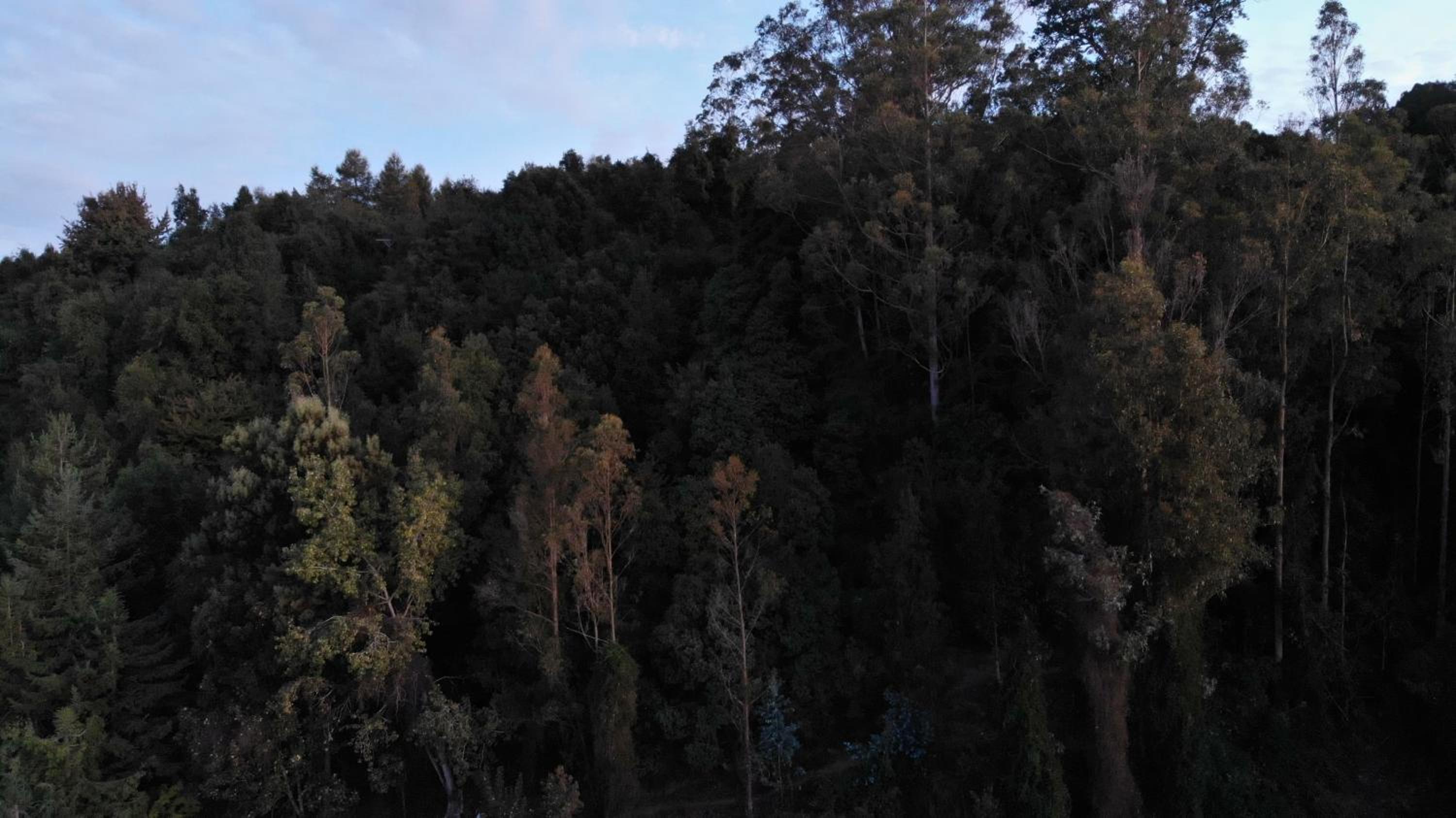 CIPRES Ecolodge & Spa