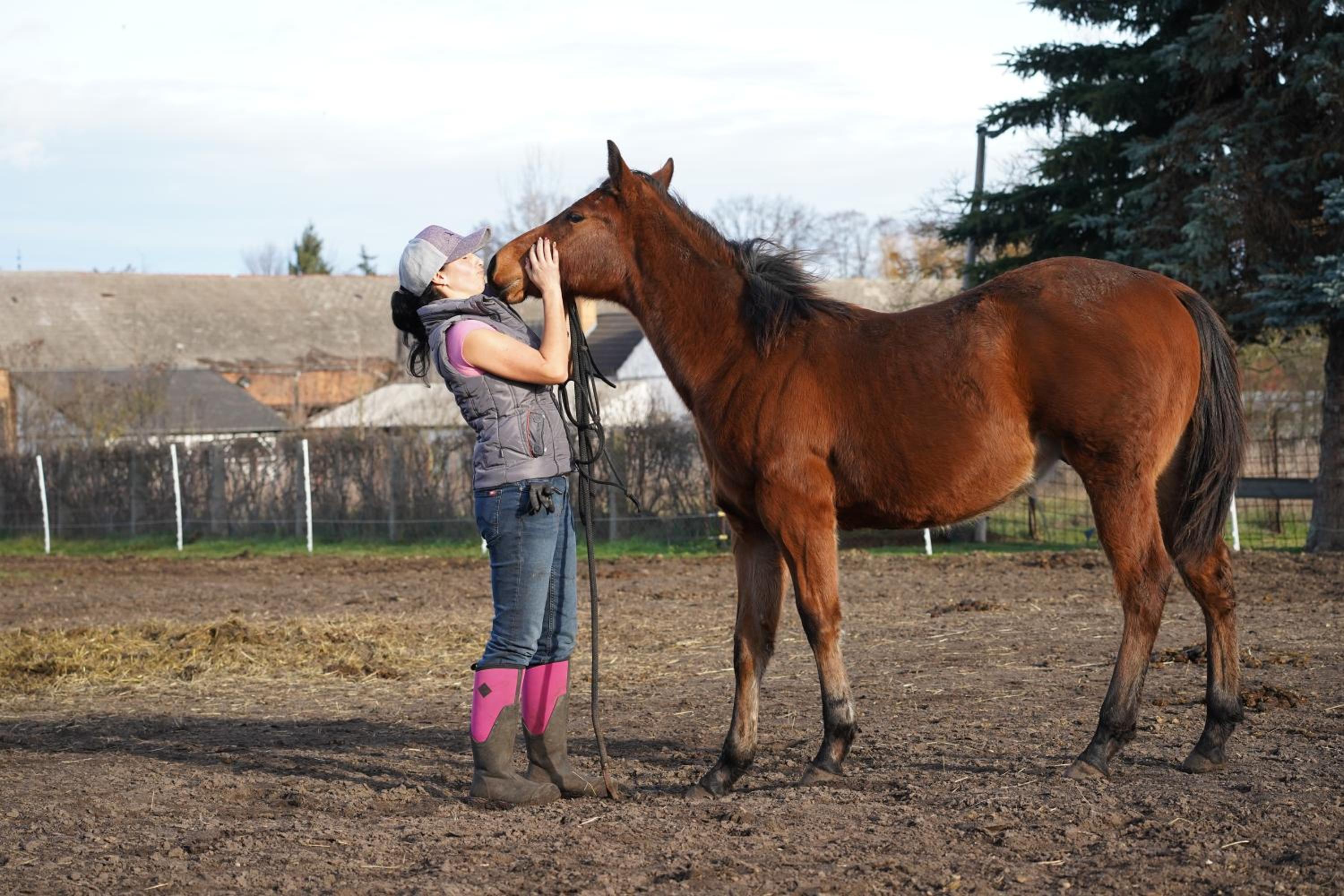 W Diamonds Ranch