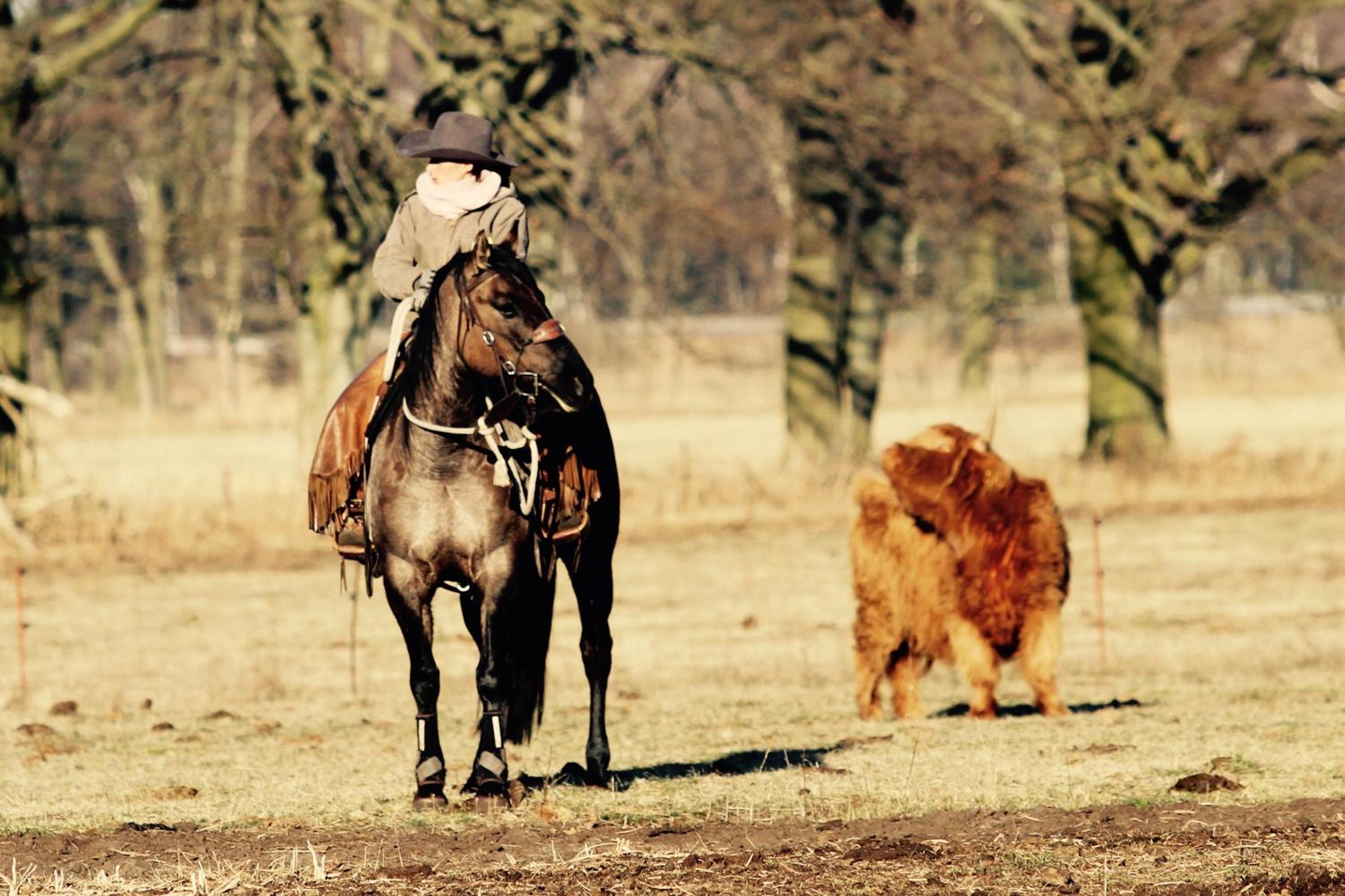 W Diamonds Ranch