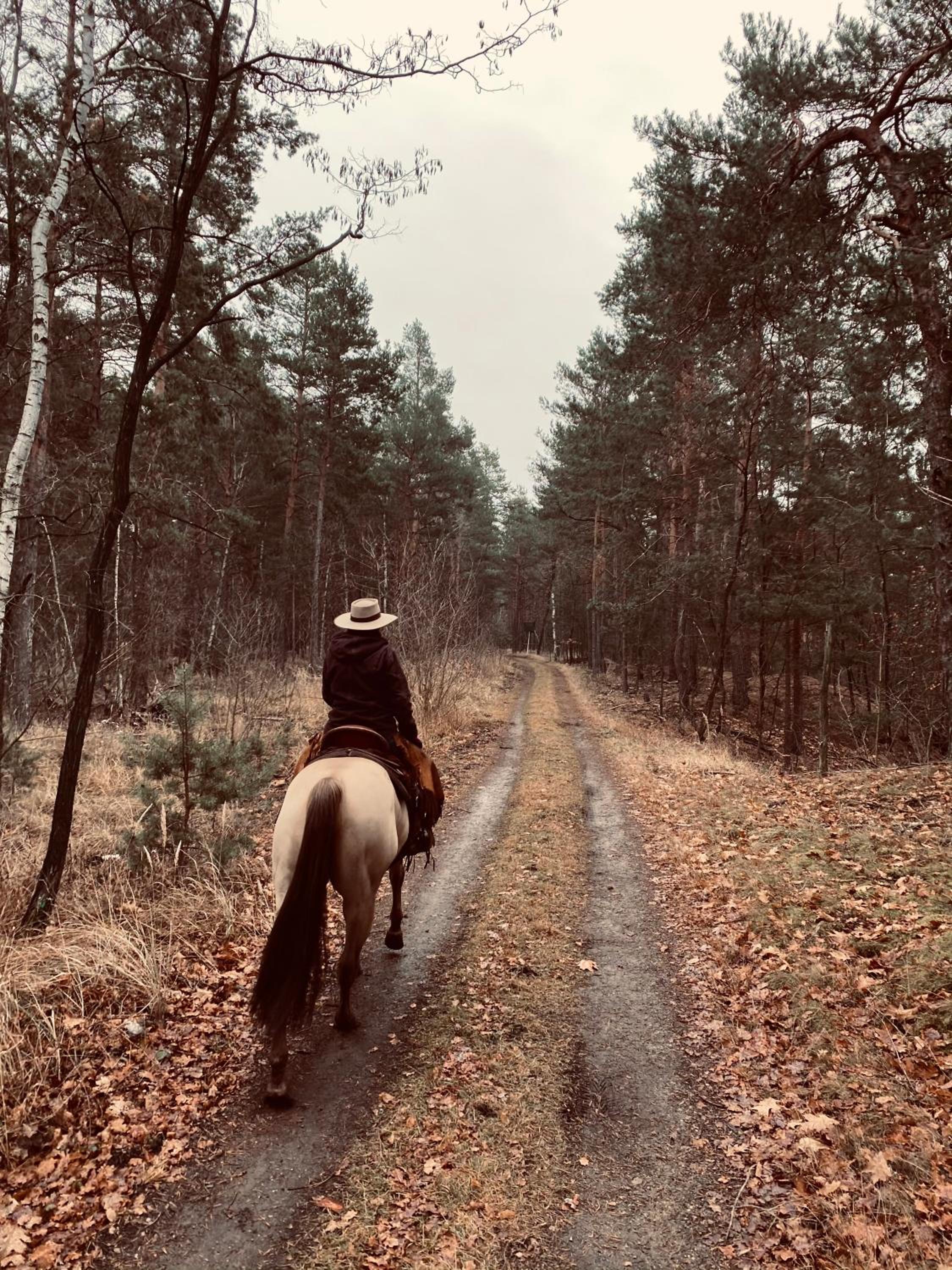 W Diamonds Ranch