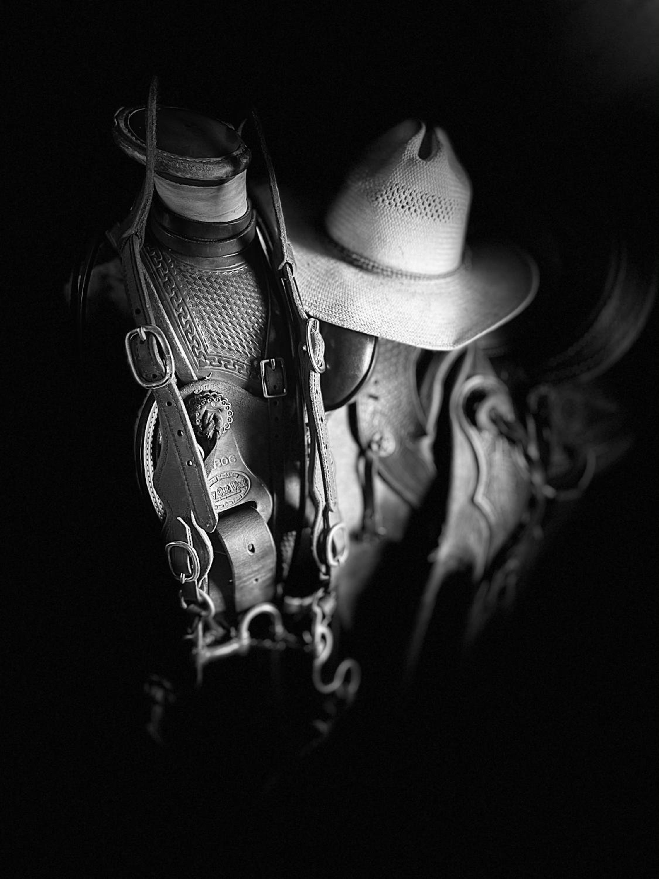 W Diamonds Ranch