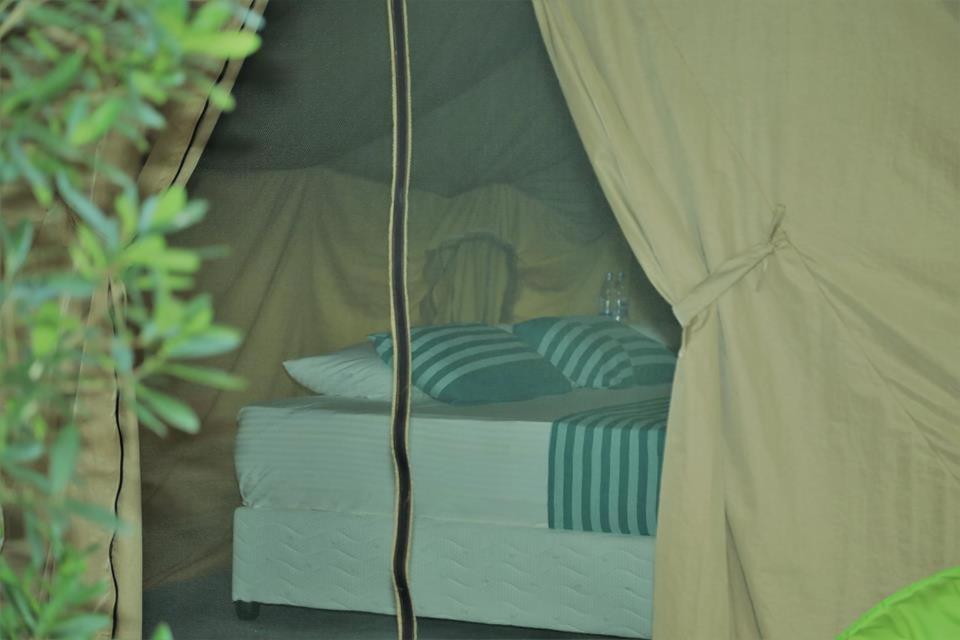 Basecamp - Yala view 4