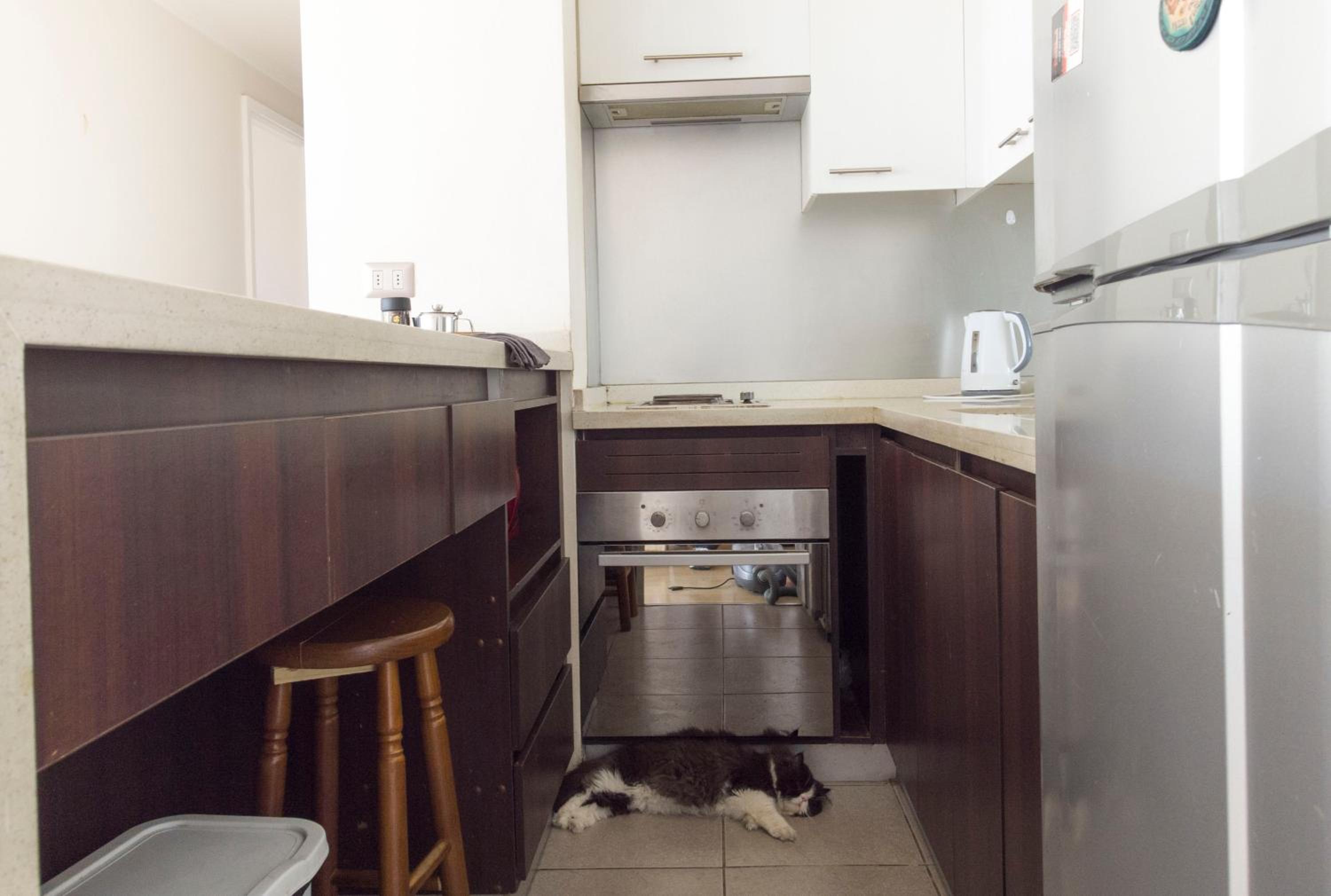 Agradable departamento, frente a la Quinta Vergara