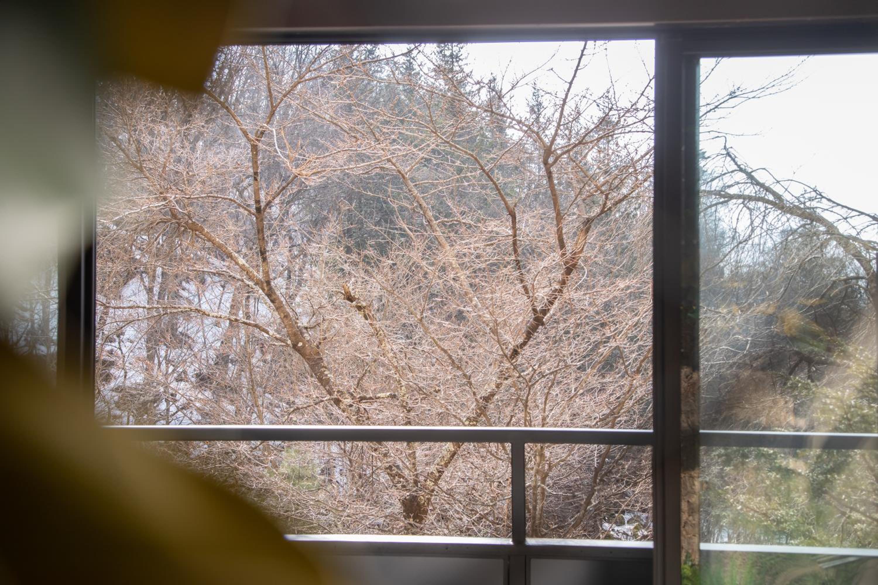 Tateshina Shinyu Onsen