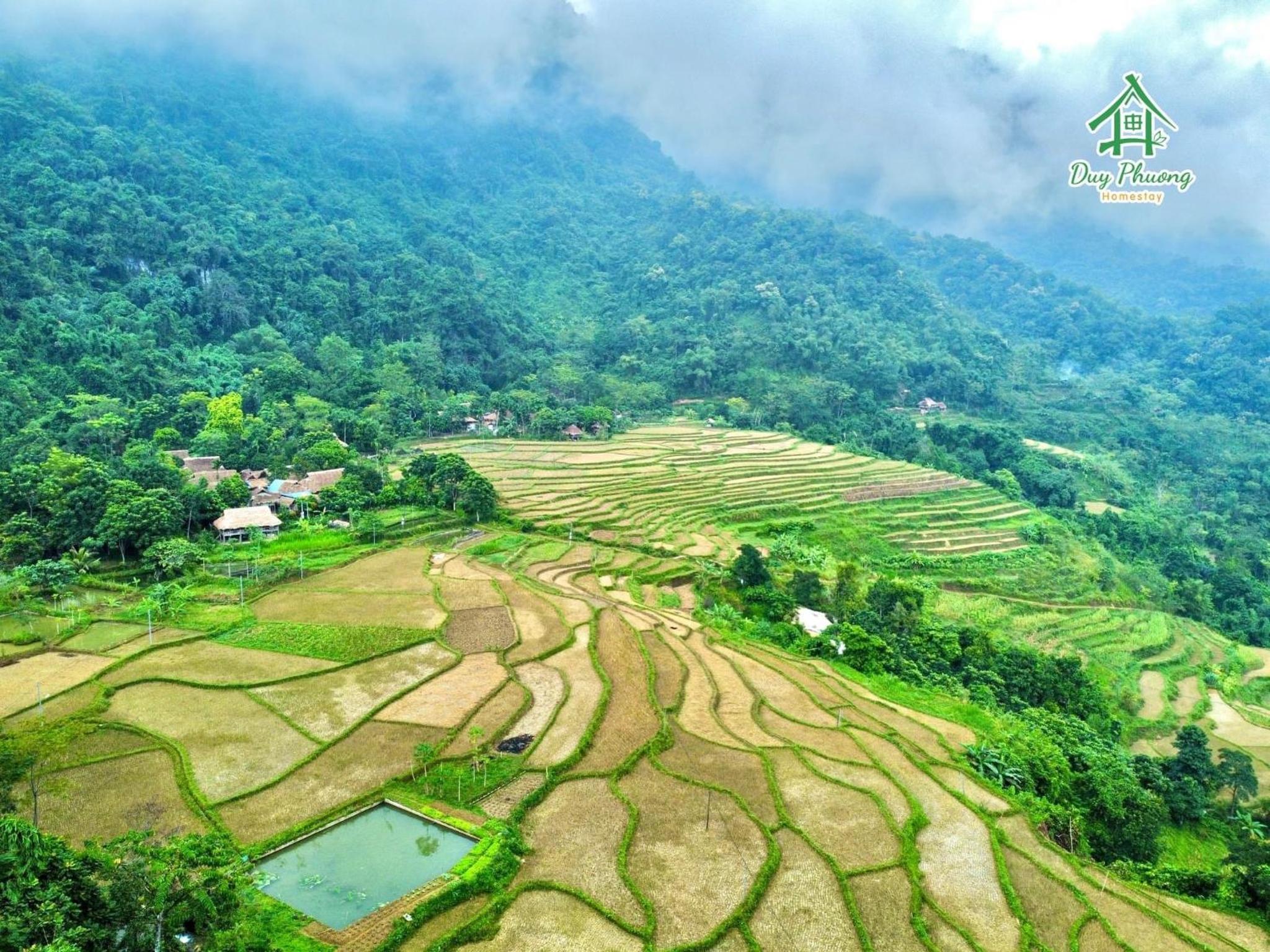 Pu Luong - Duy Phuong Homestay