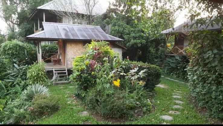 Maylyn Guesthouse