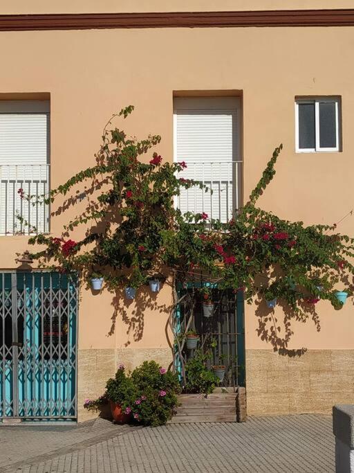 Apartamento Las Canastas Cádiz Centro a pie de Catedral y playa